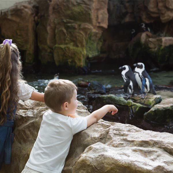 Zoo