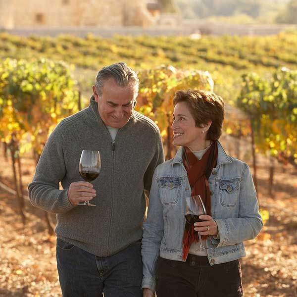 Vineyard