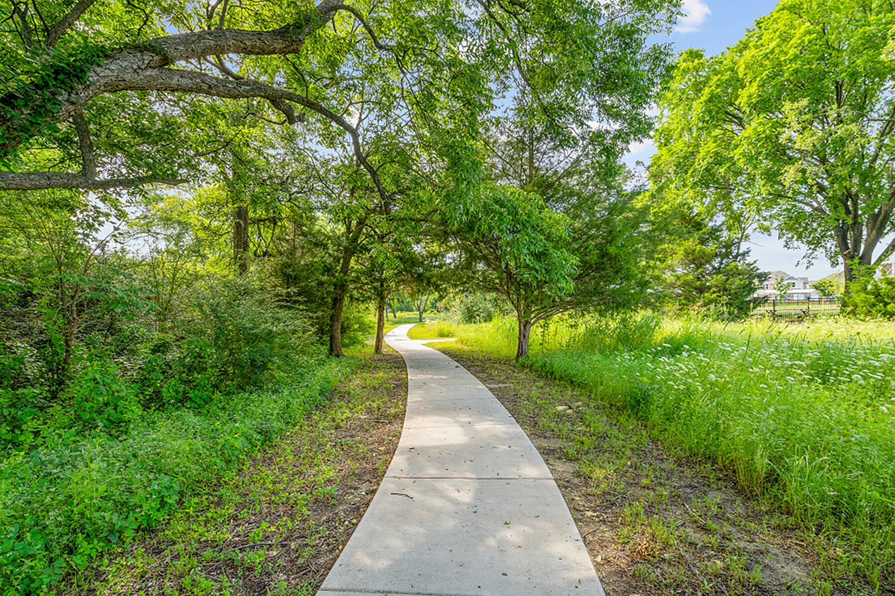 Trails