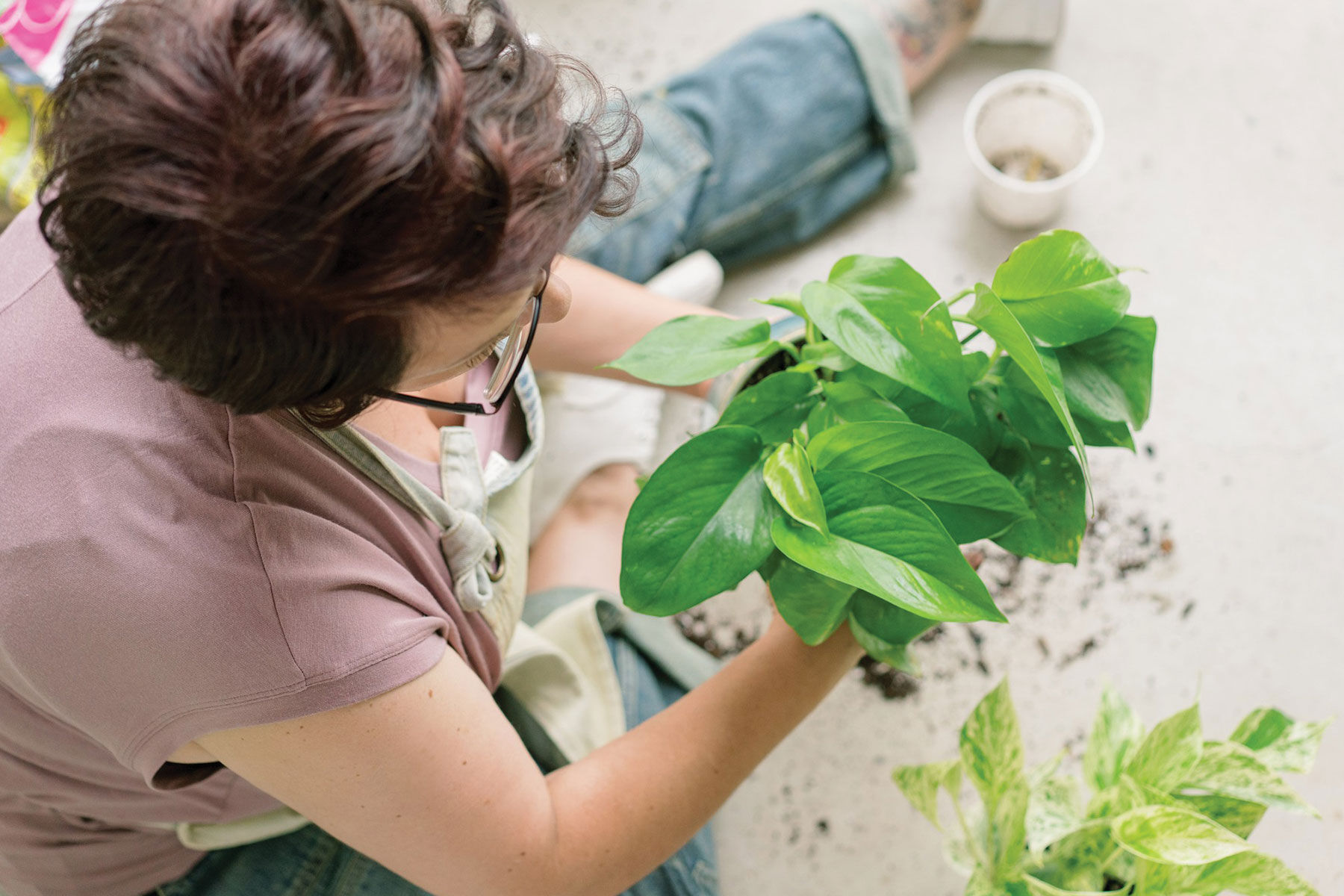 Planting