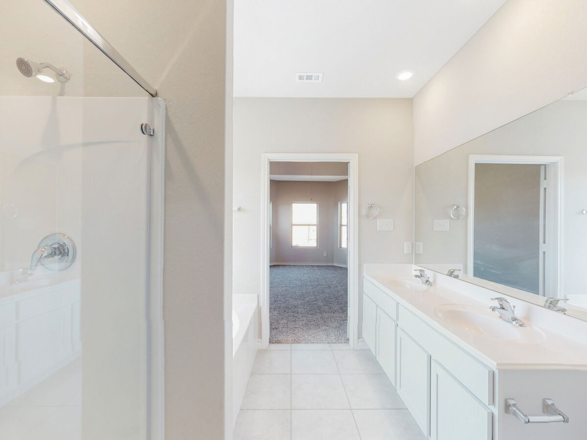 Owner's Bathroom