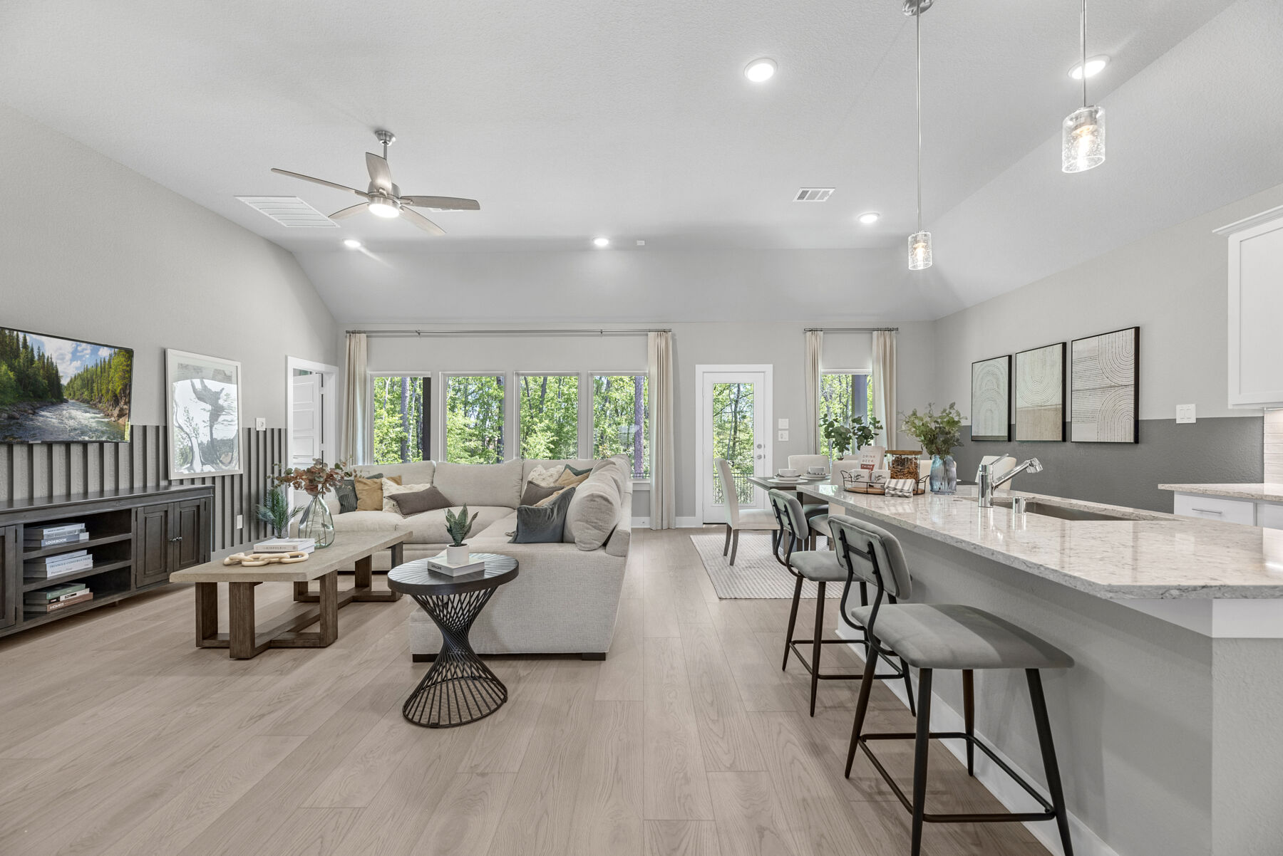 Family Room