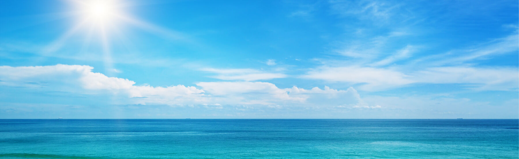 Ocean Fly and Buy Page Top Banner