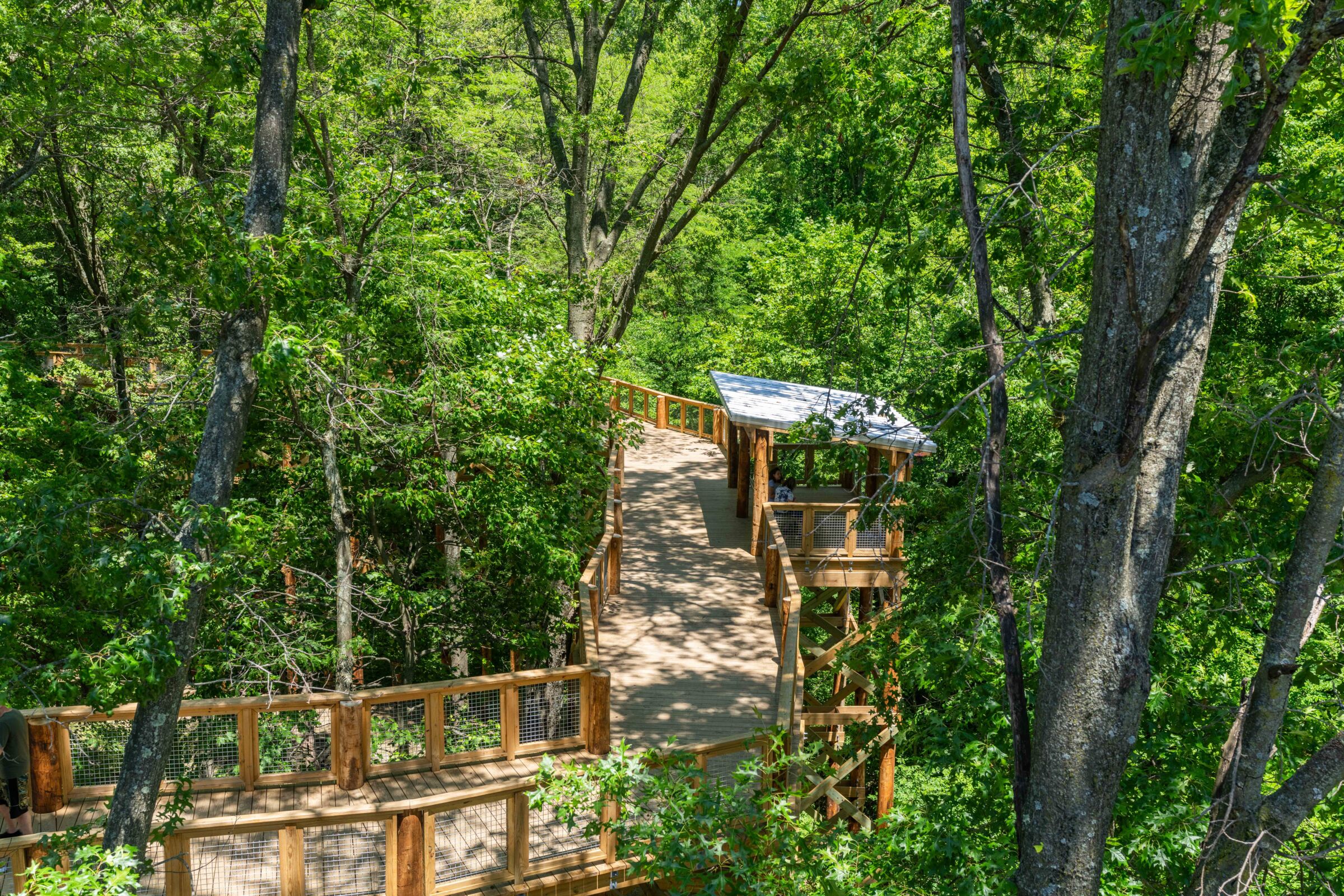 Forest Ridge