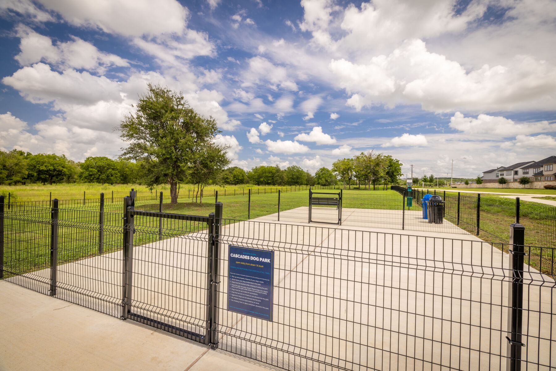 Dog Park 