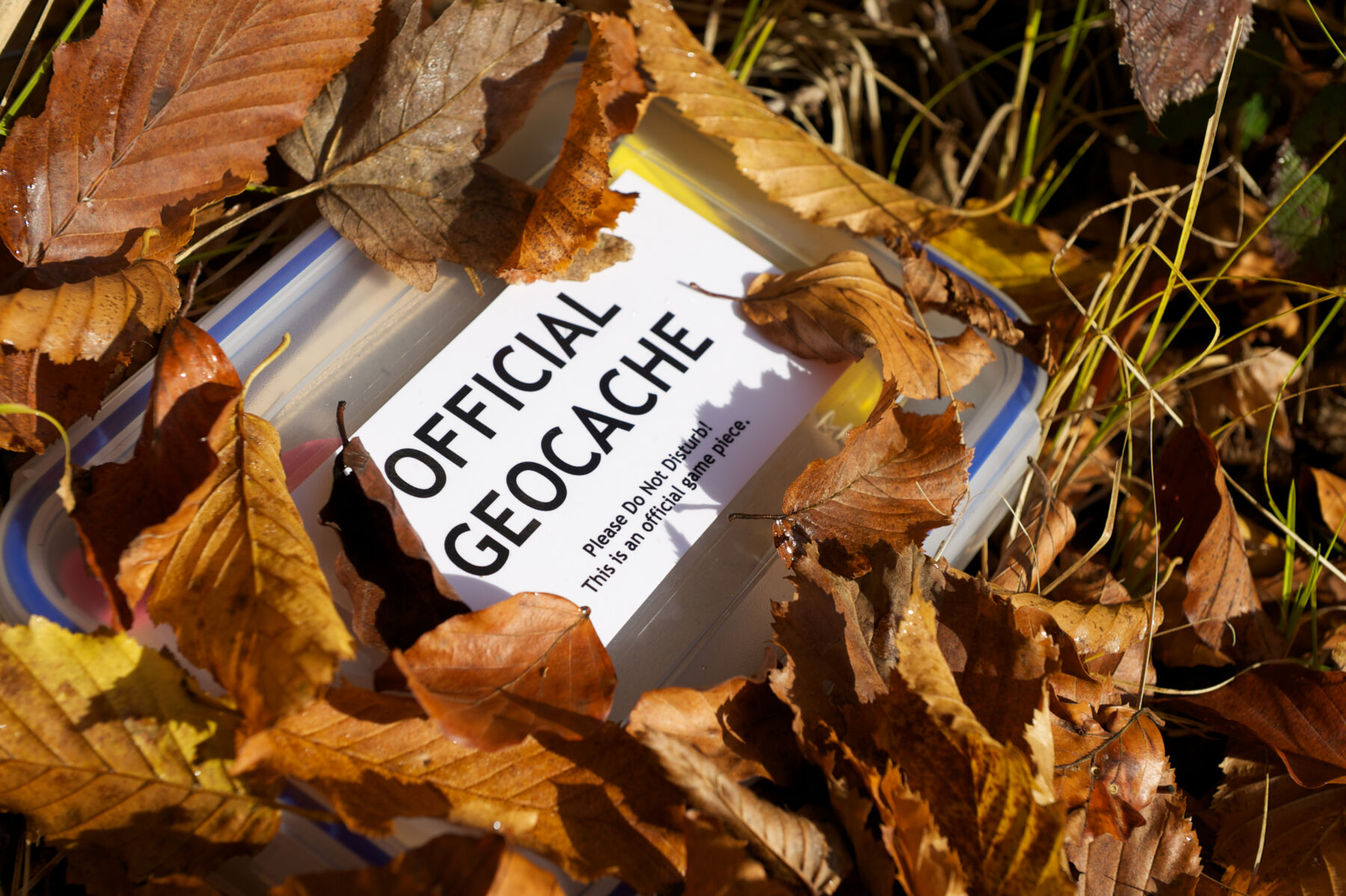 Geocaching
