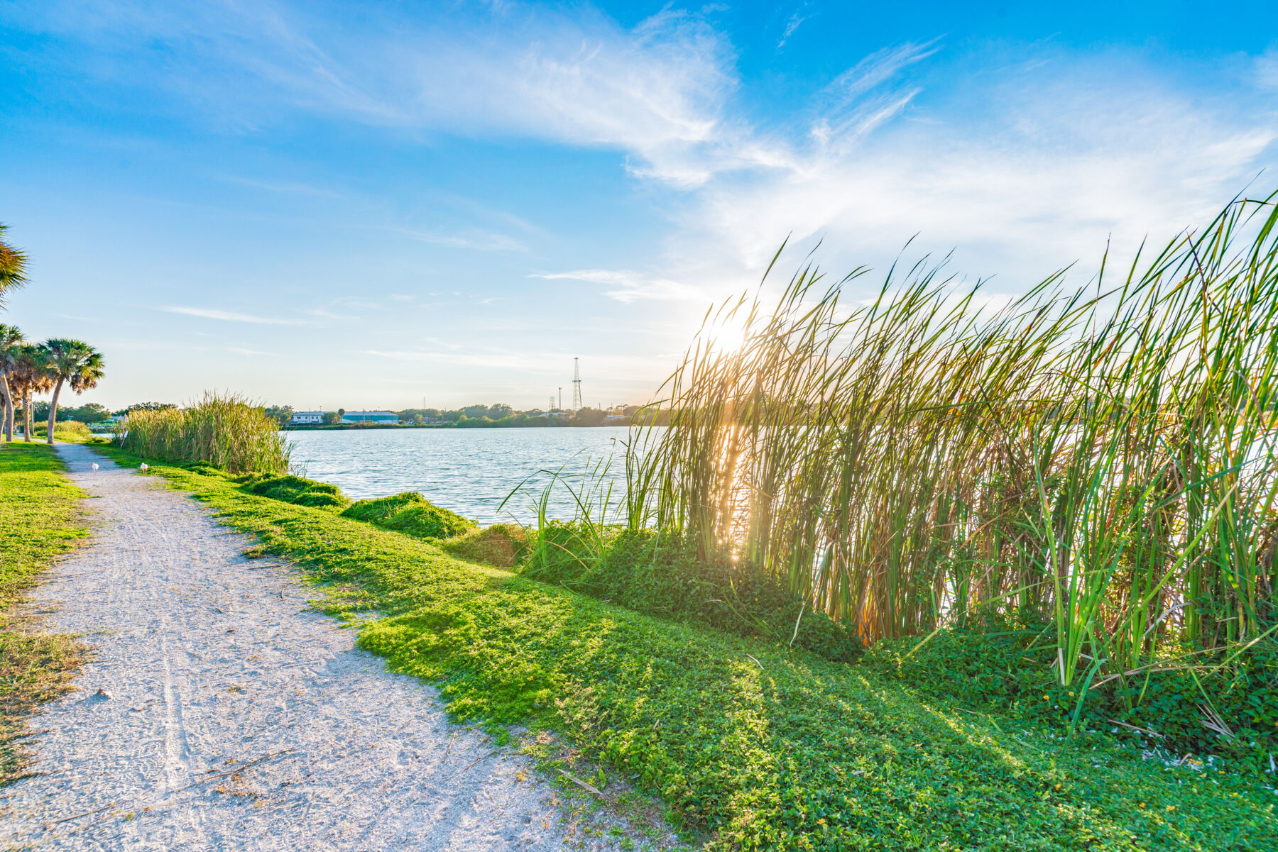 Beach Trail