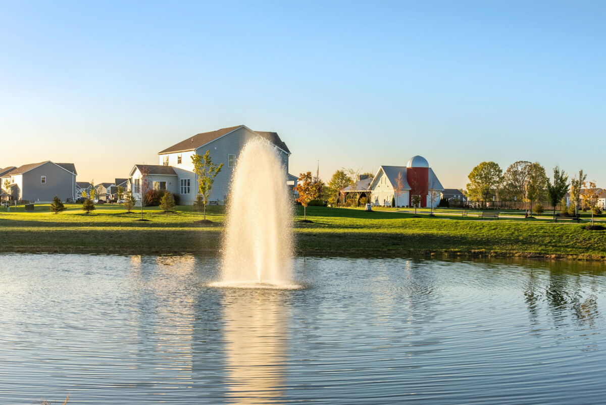 Community Pond