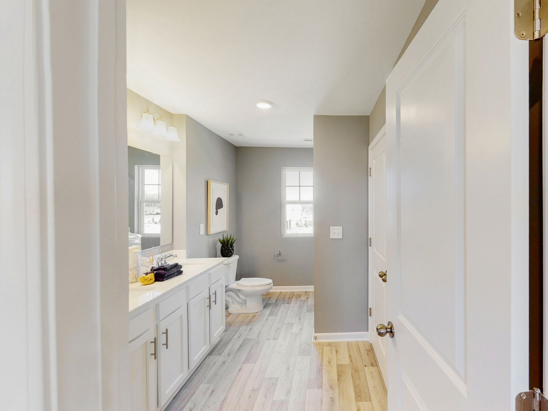 Owner's Bathroom