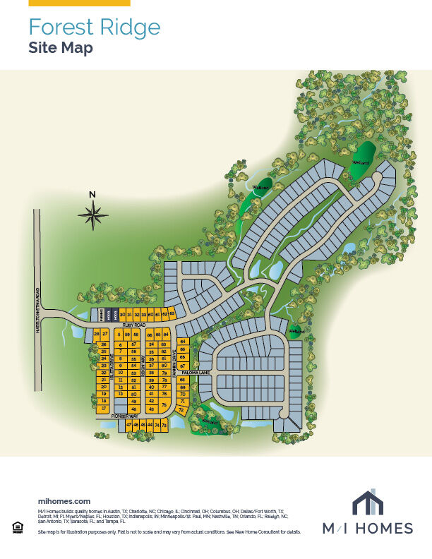 Forest Ridge