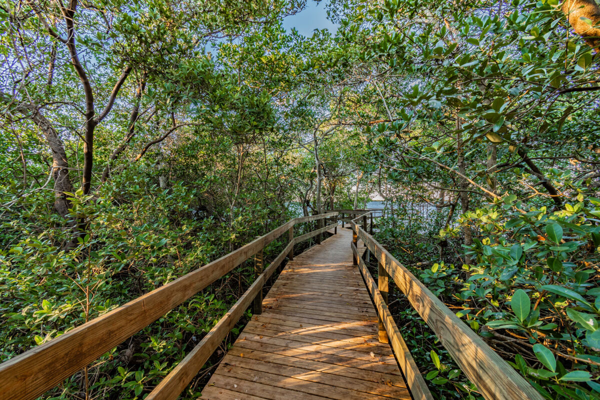 Palmetto, FL