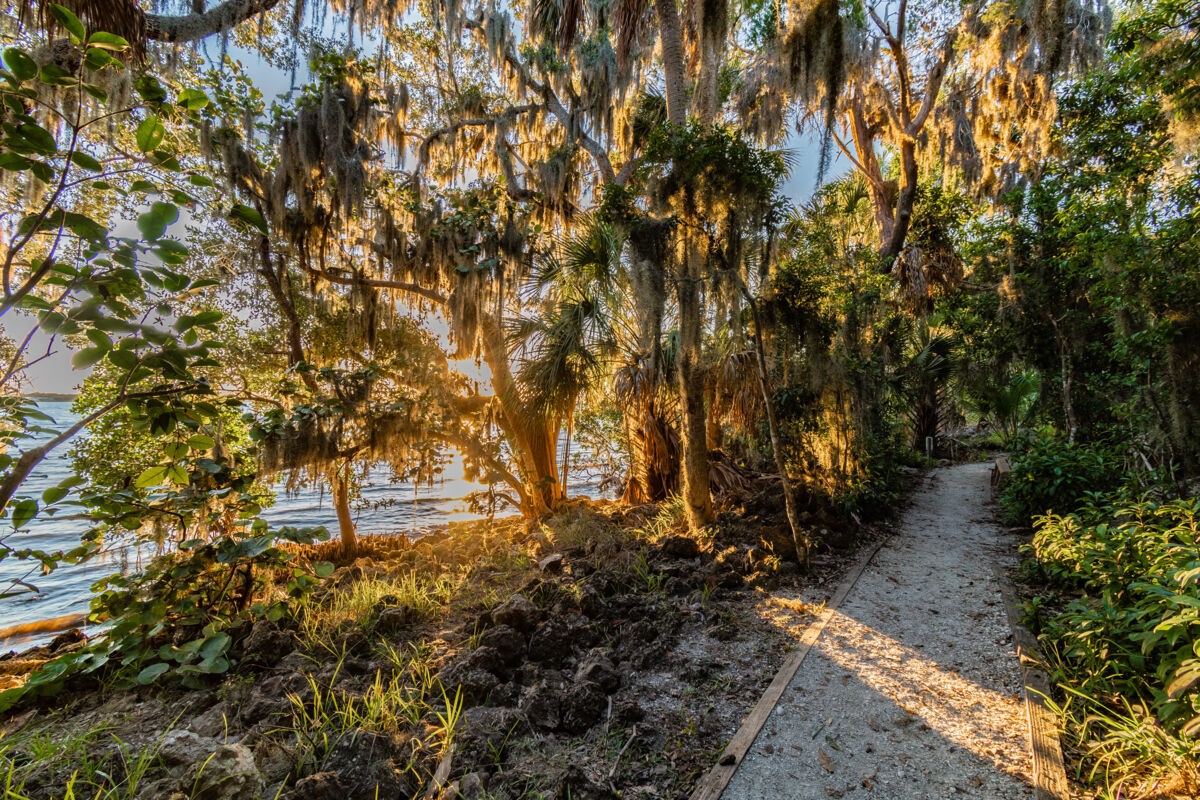 Palmetto, FL