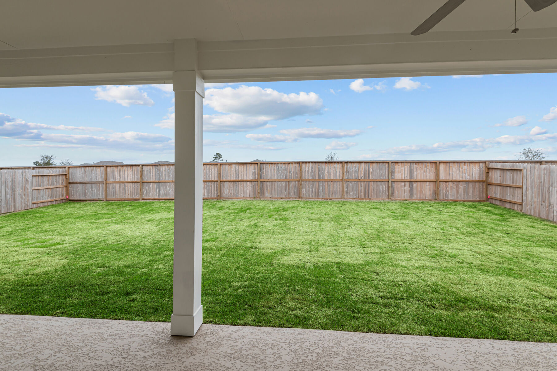 Backyard