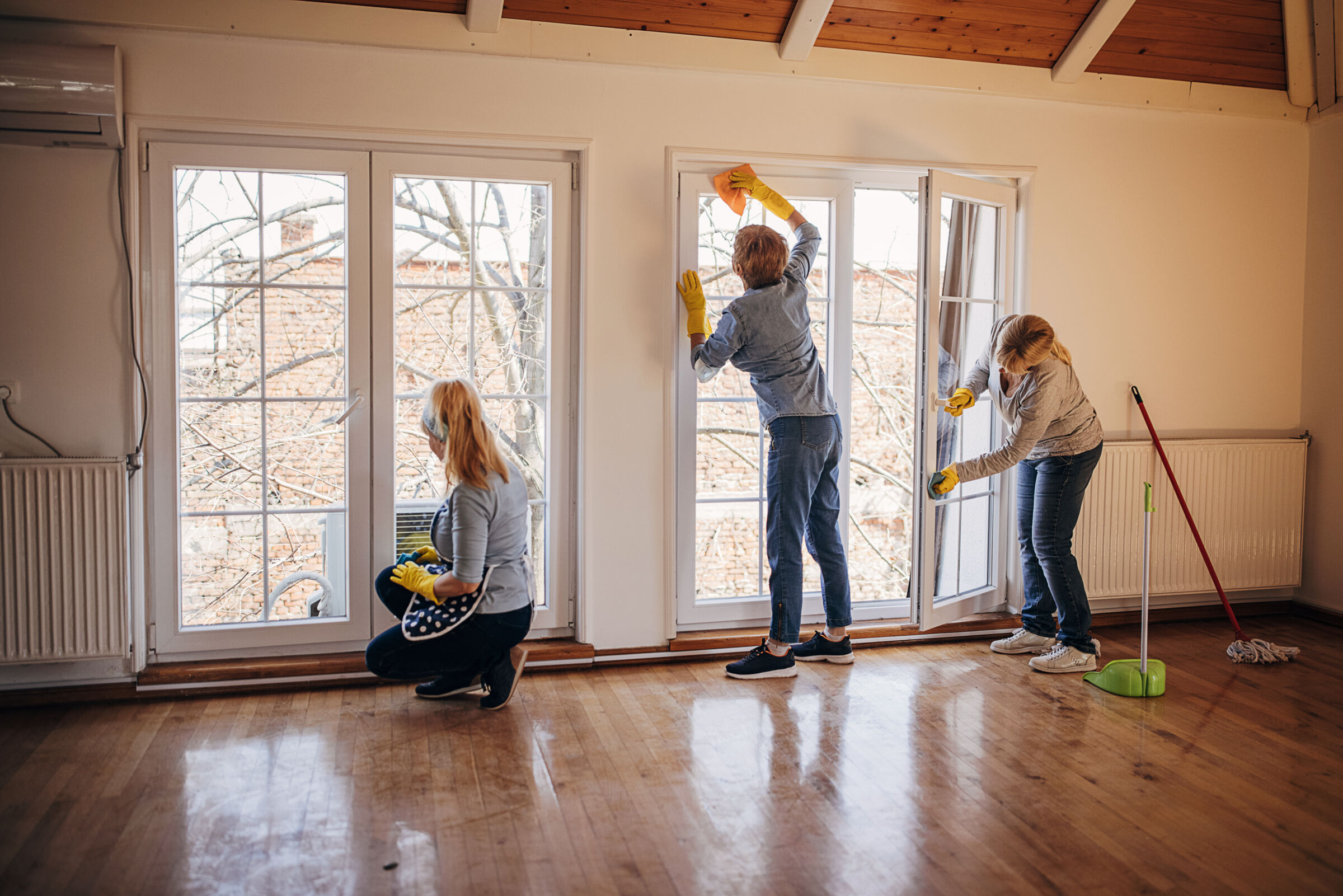 People Cleaning a House