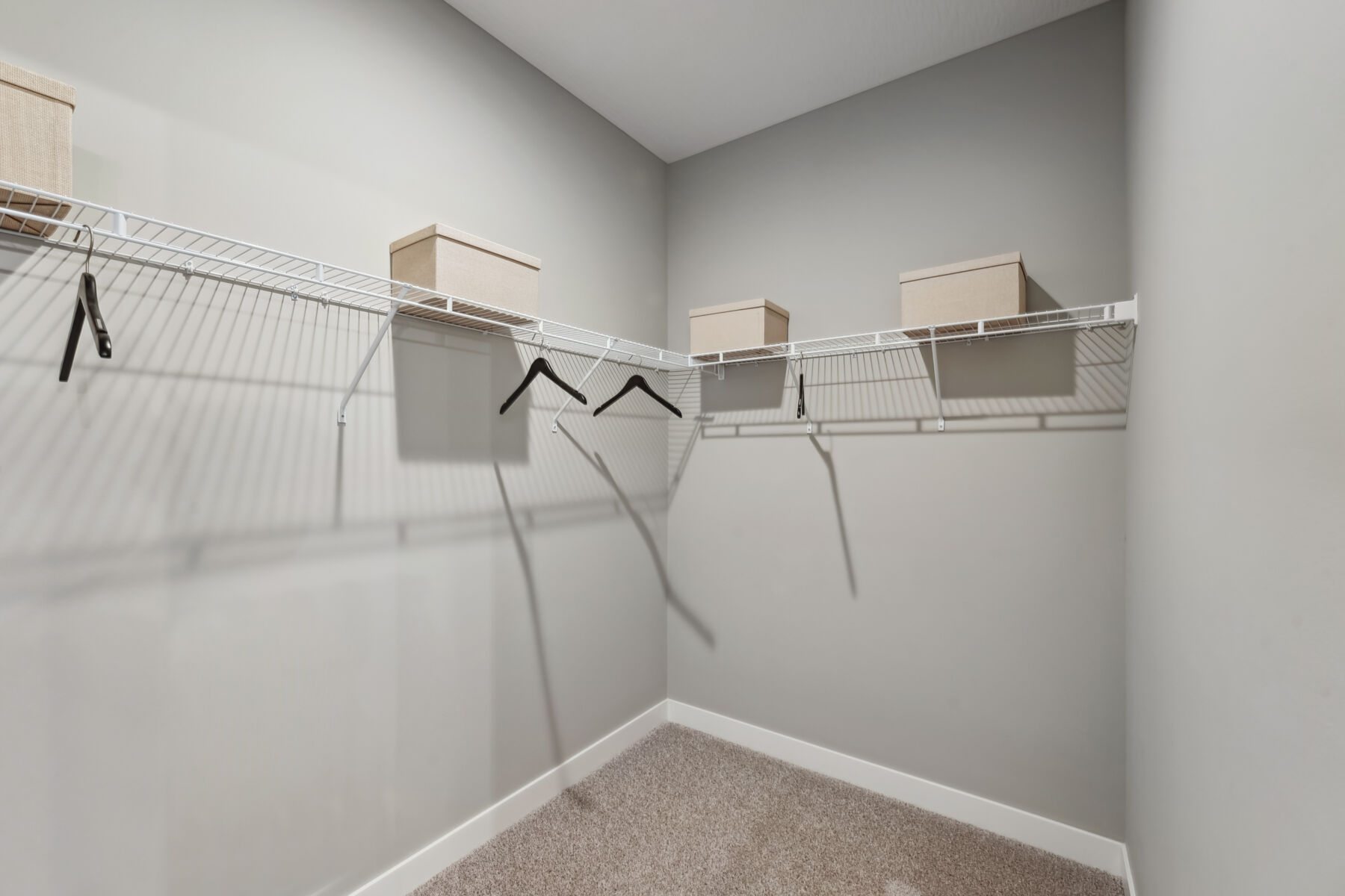 Owner's Closet