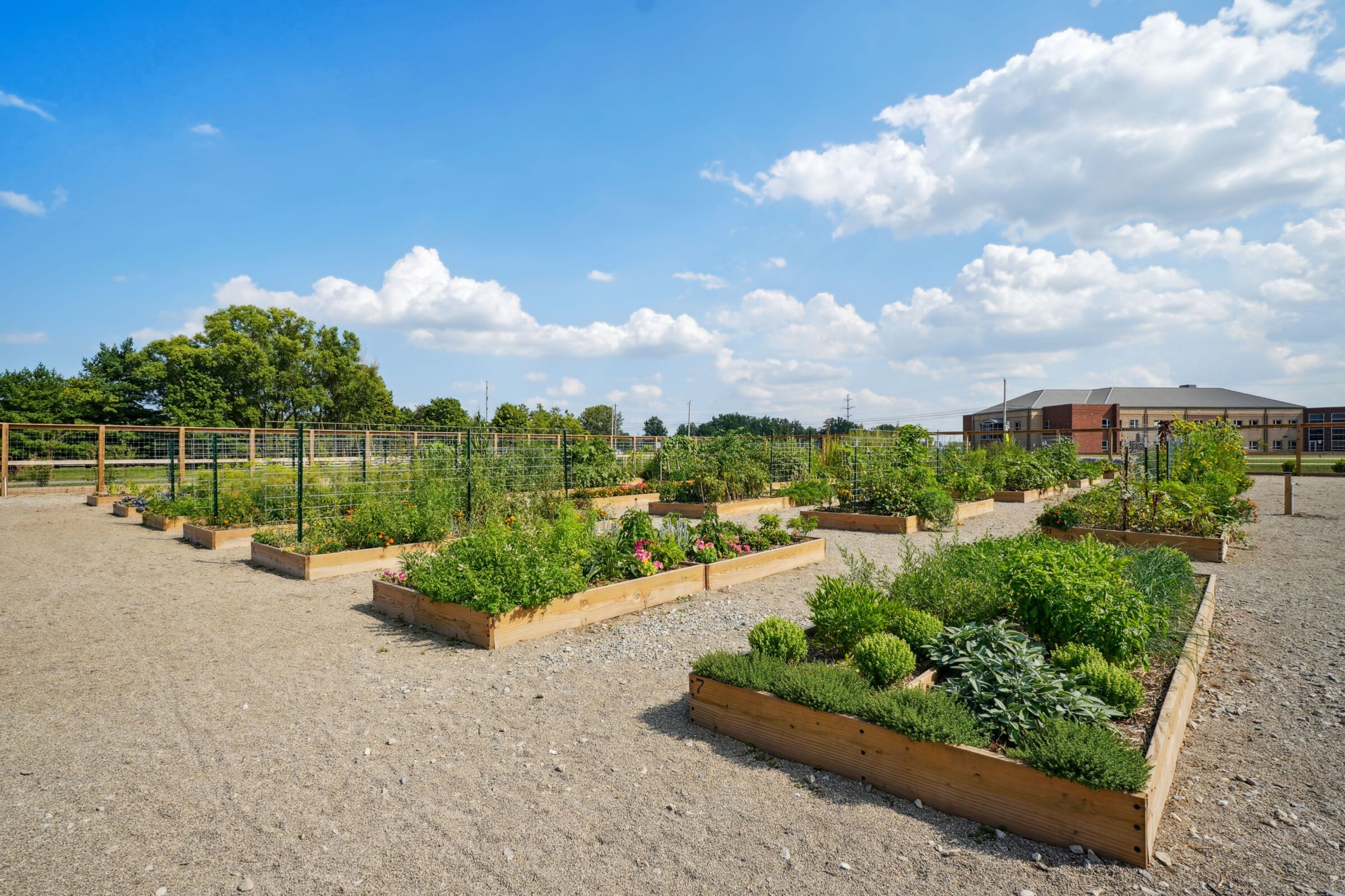 Berlin Farm