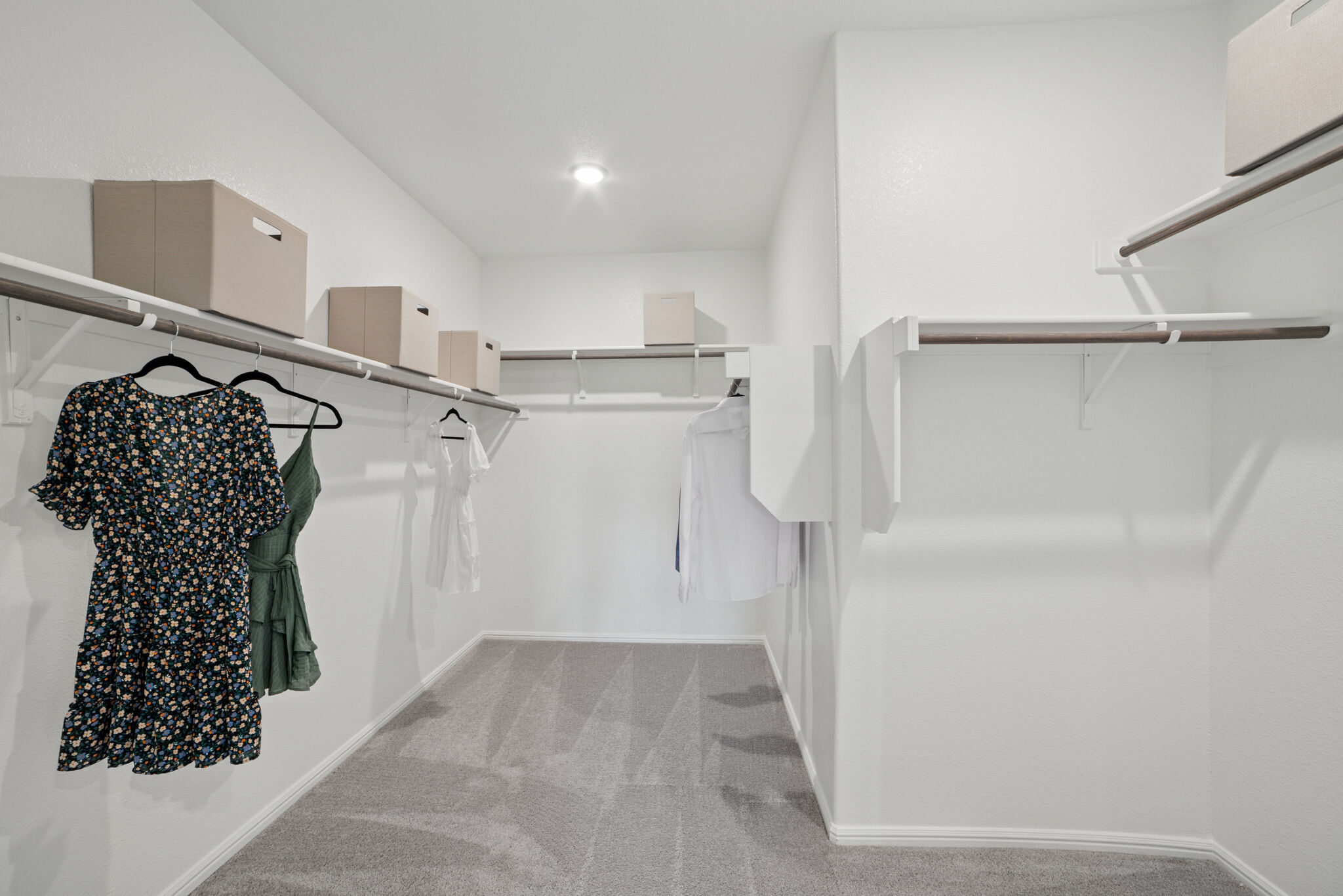 Owner's Closet