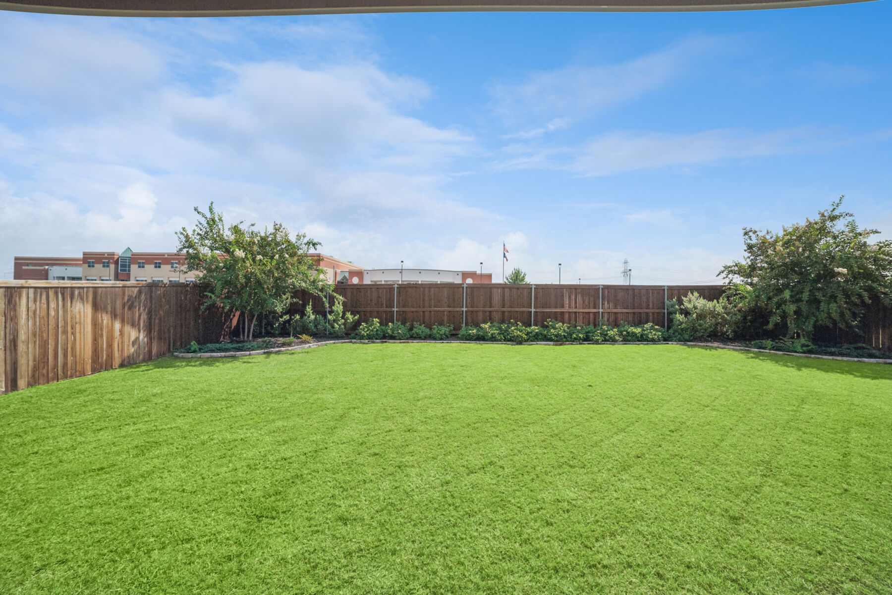Backyard