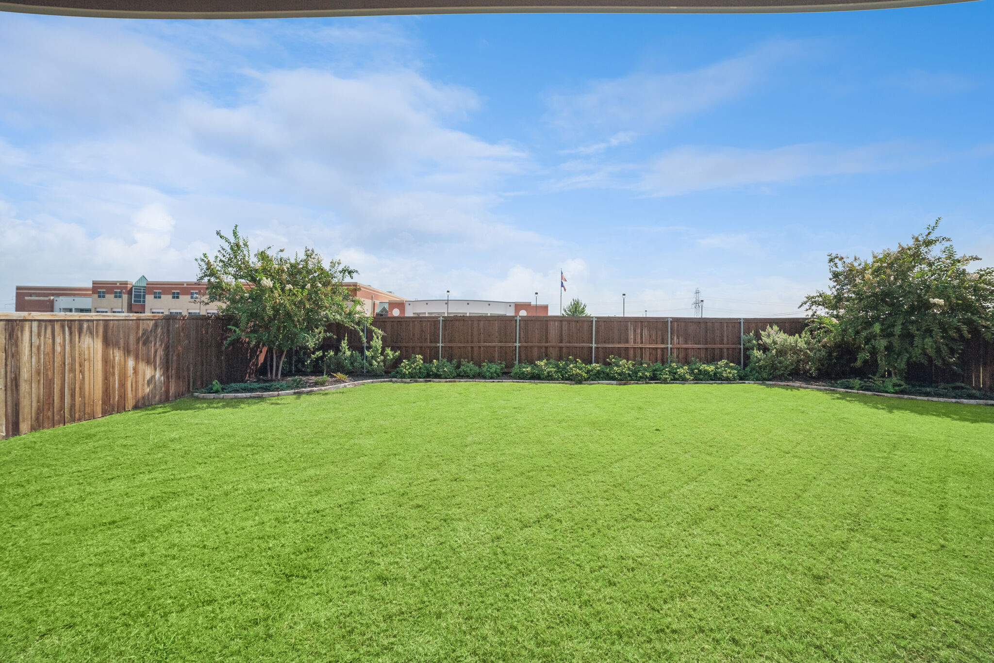 Backyard