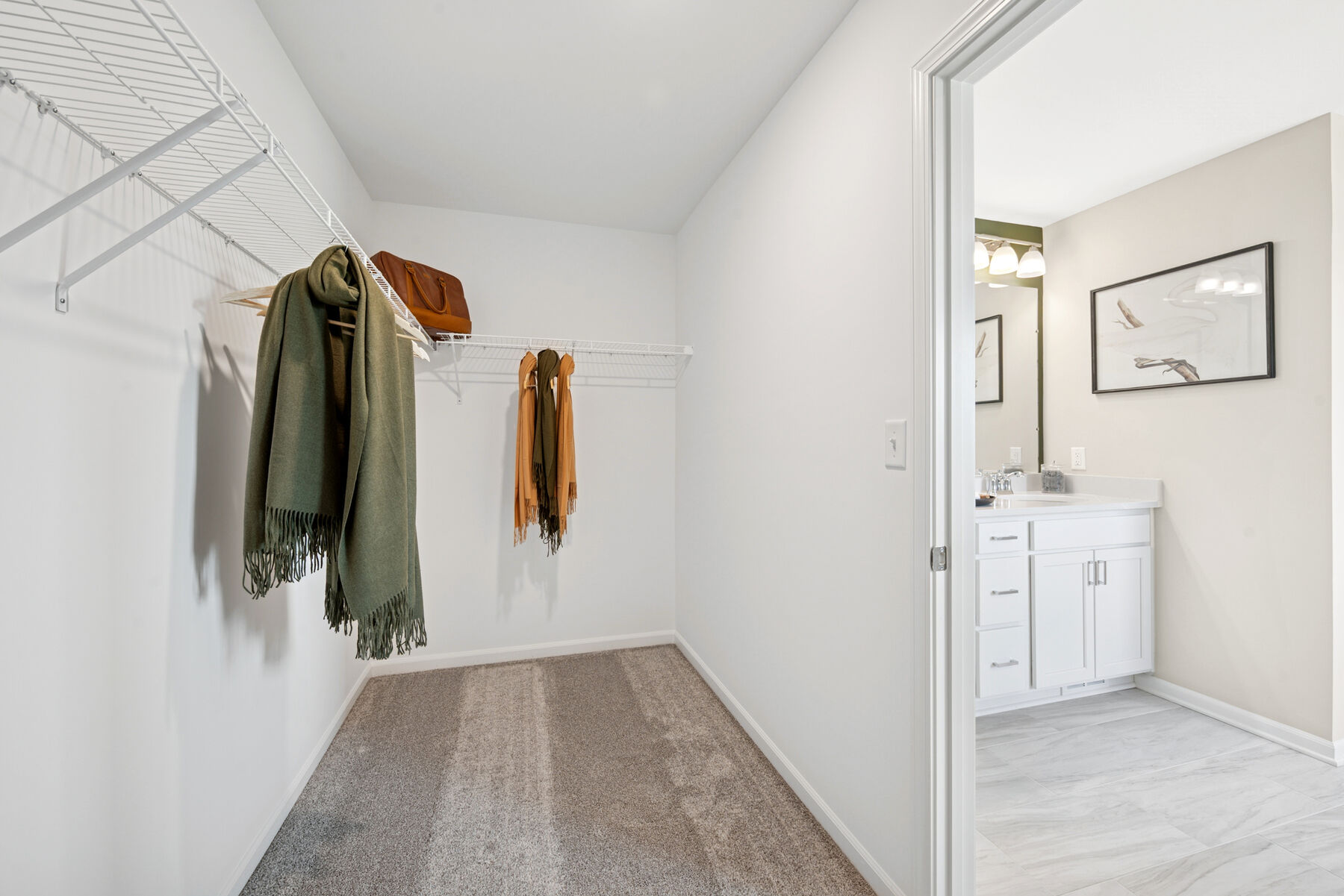 Owner's Closet
