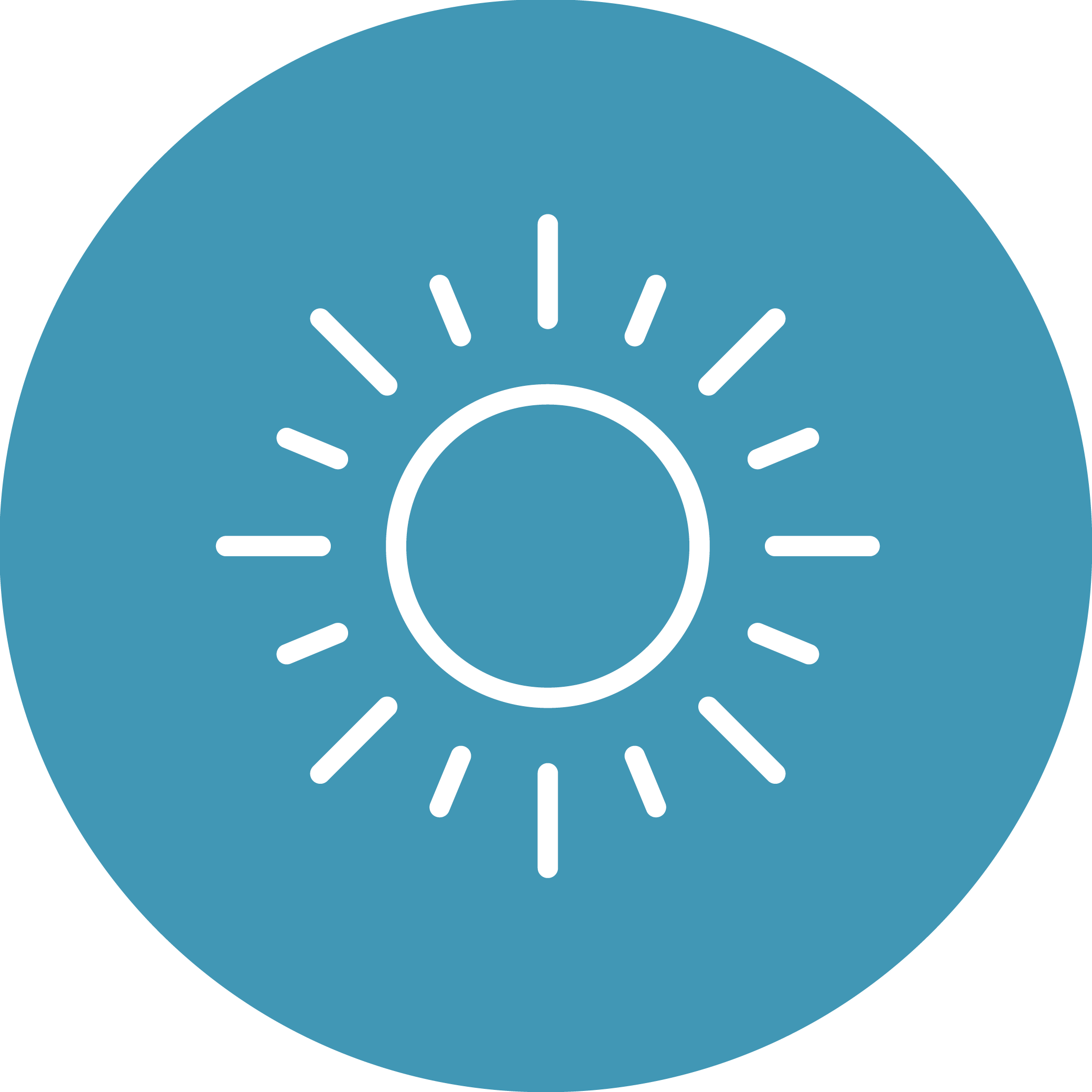 USP Icon