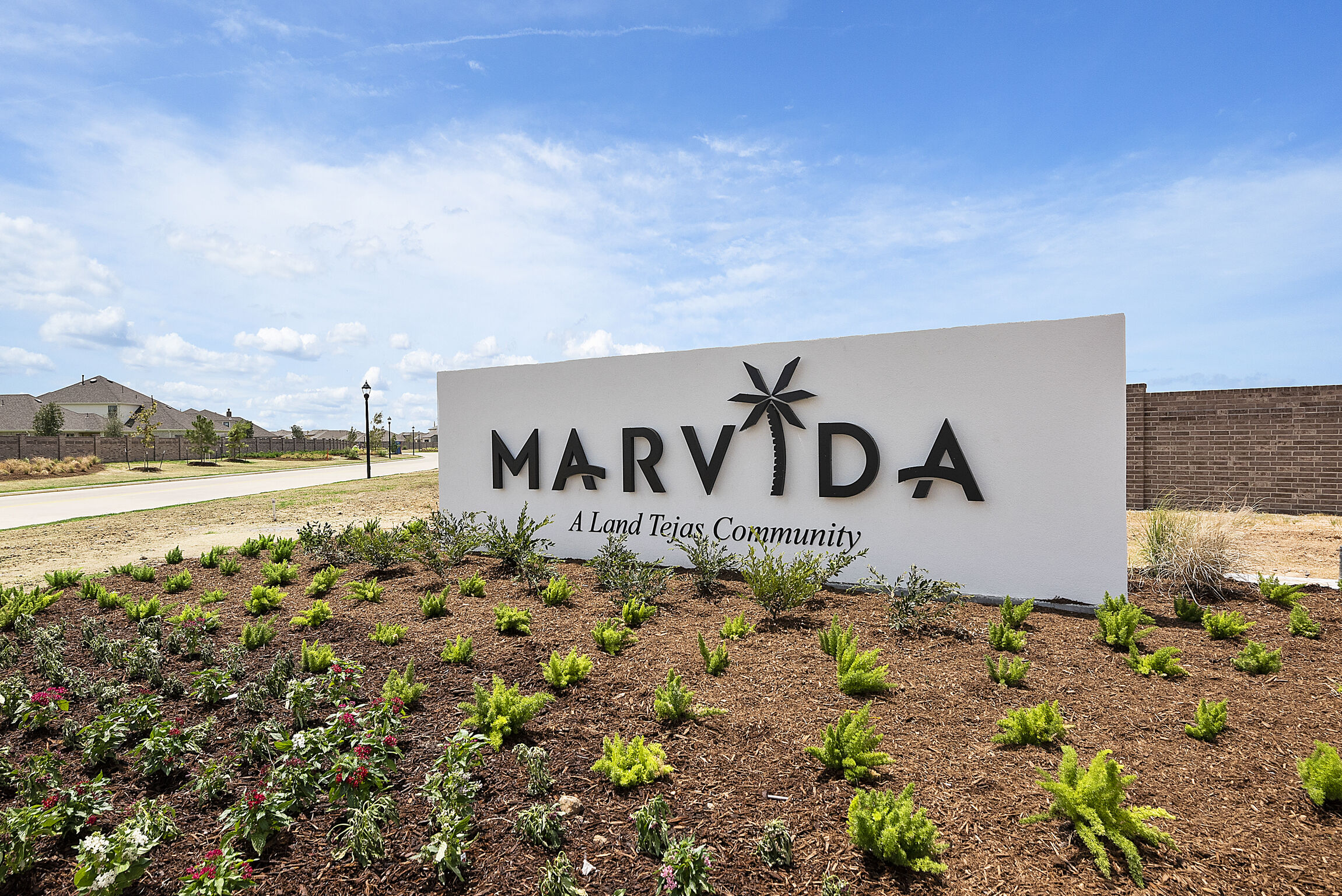 Marvida