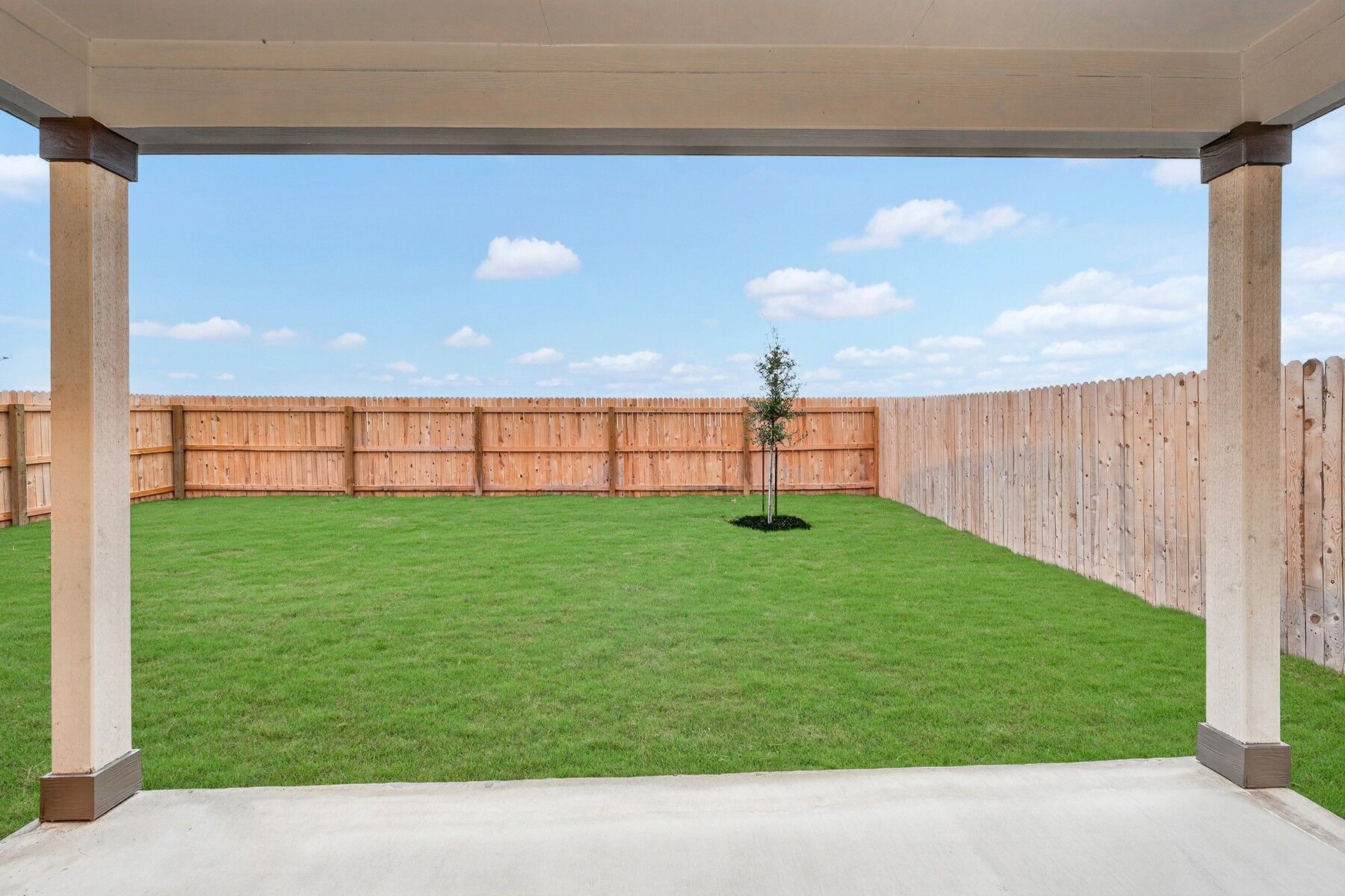 Backyard