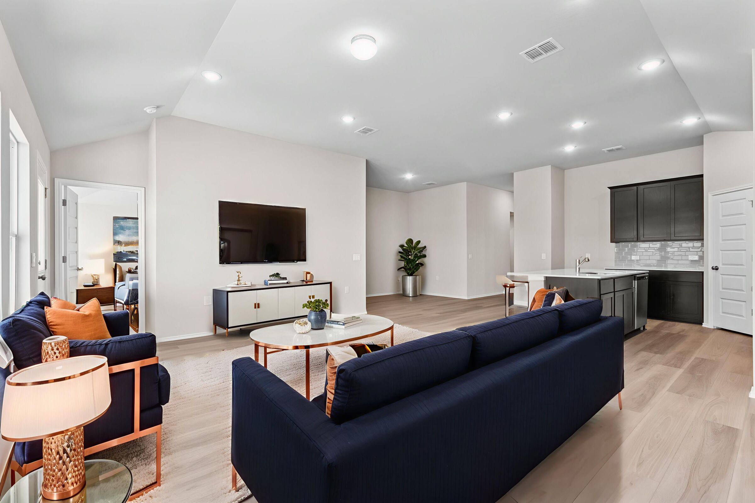 Living Room - Virtually Staged - Representational Photo