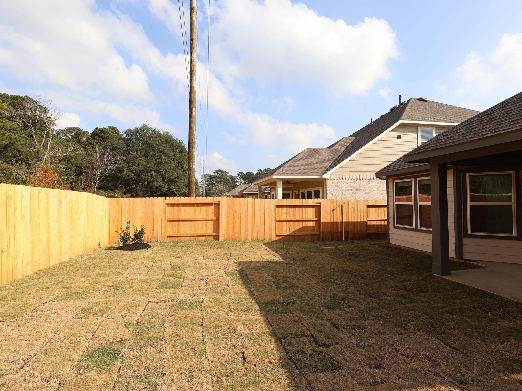 Backyard