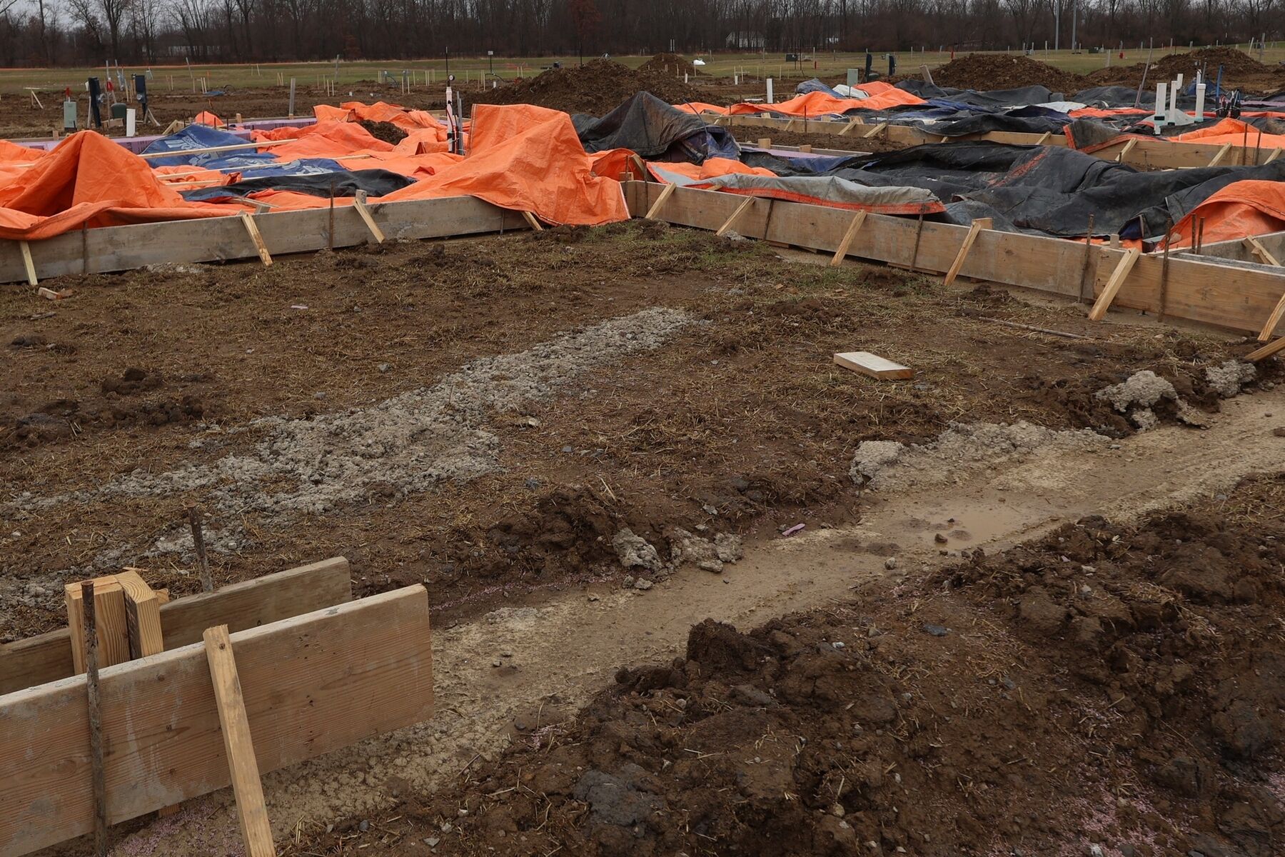 Homesite