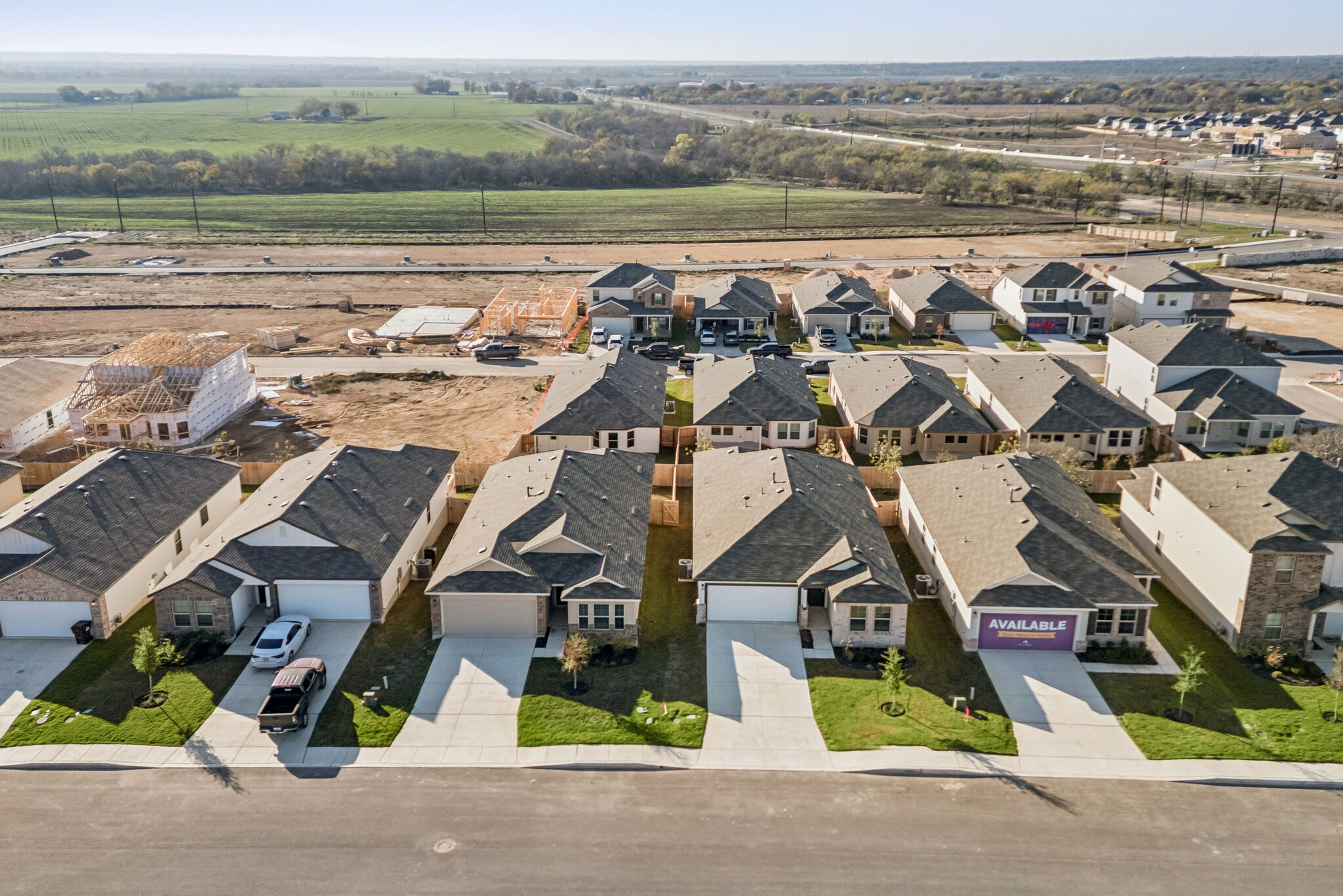 Lone Oak