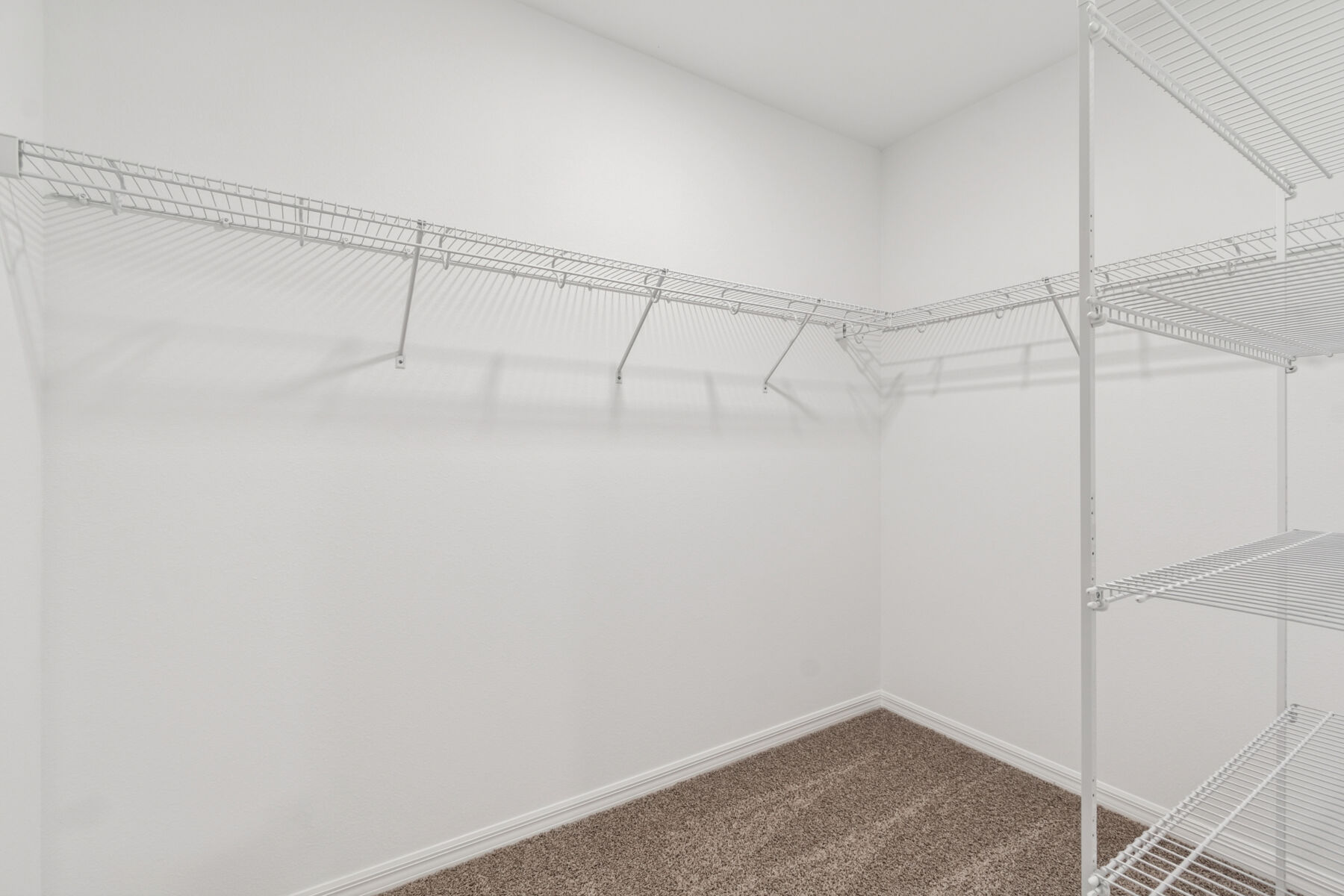 Owner's Closet