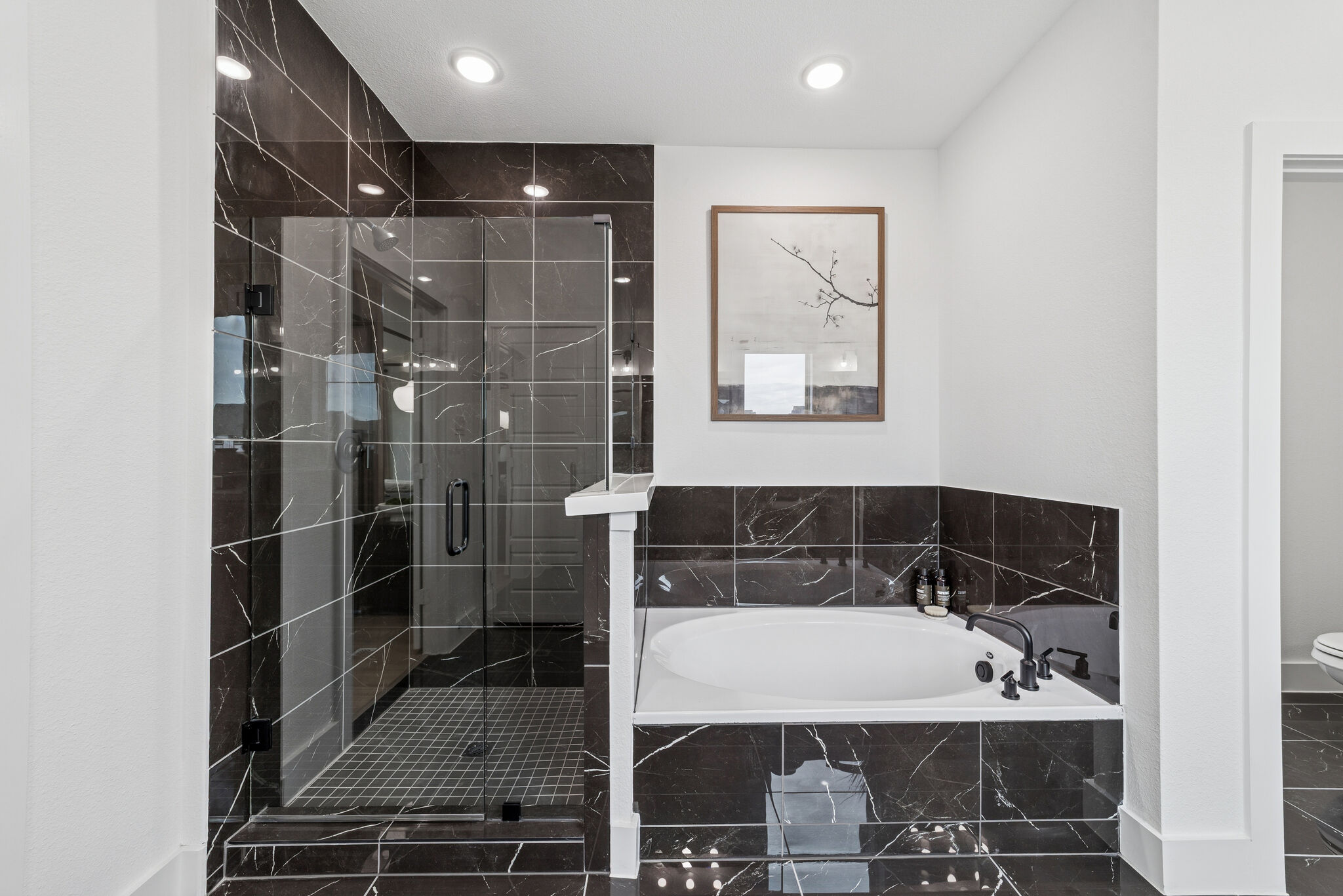 Owner's Bathroom