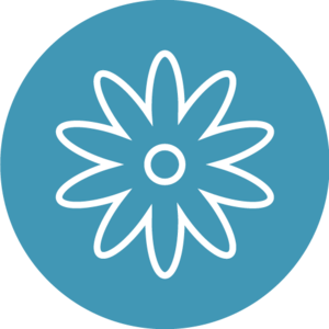 USP Icon