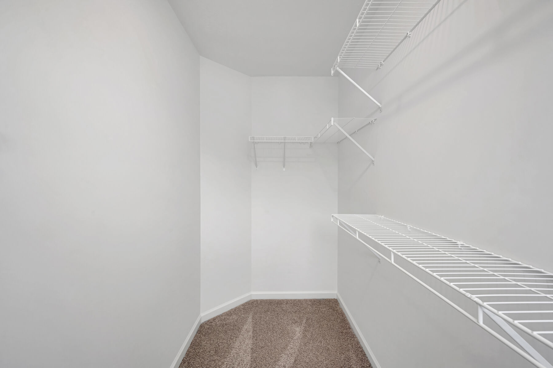 Owner's Closet