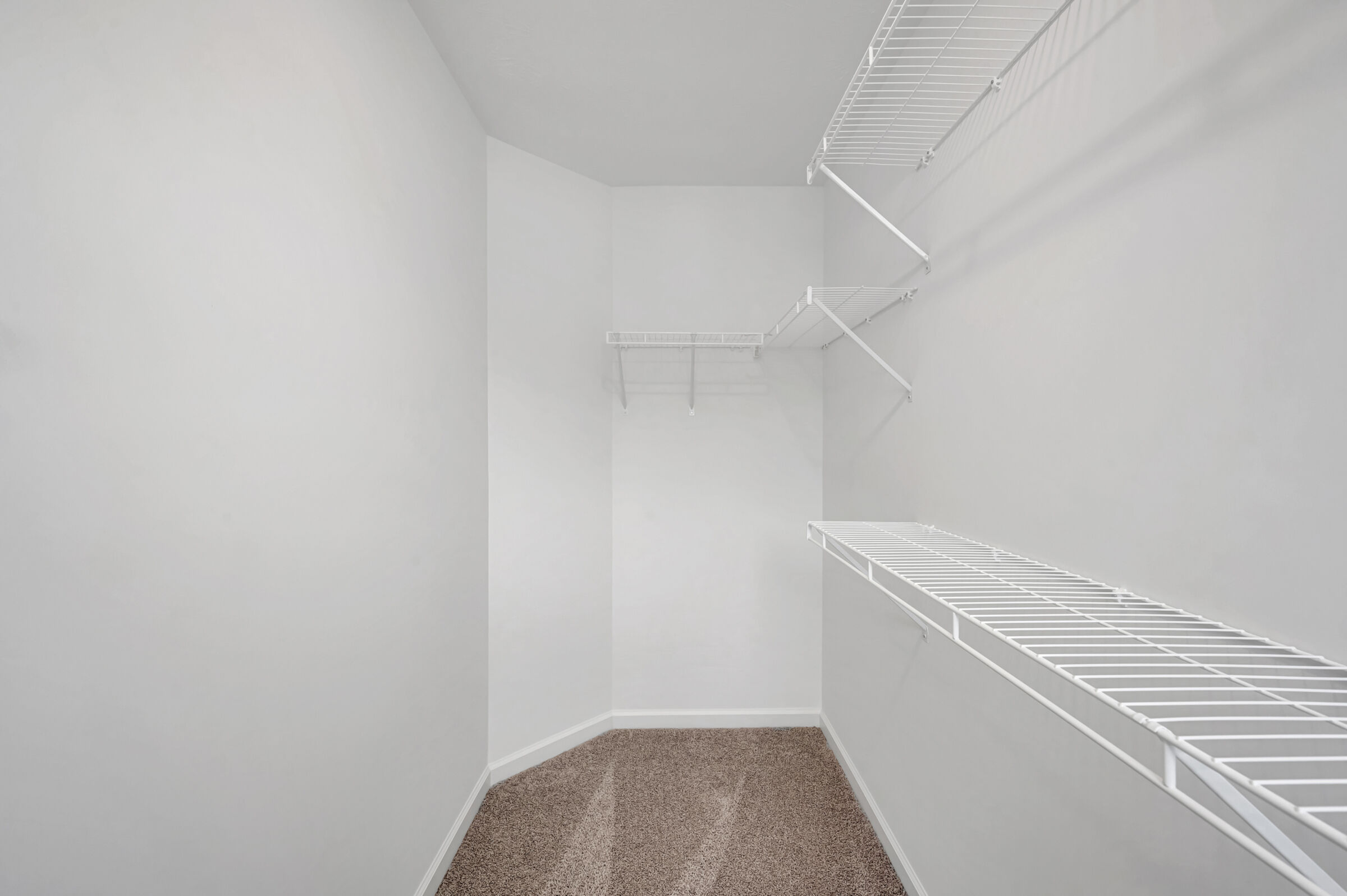 Owner's Closet