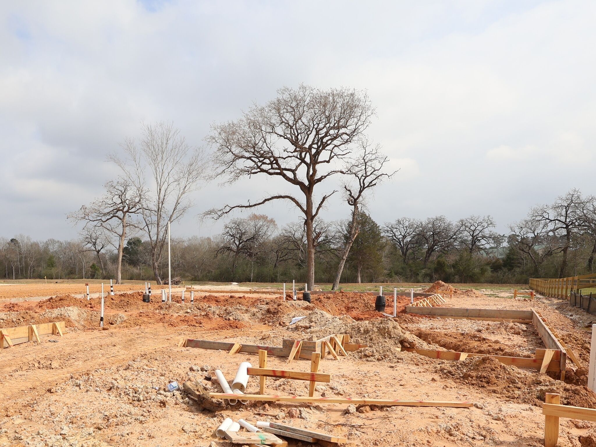 Homesite