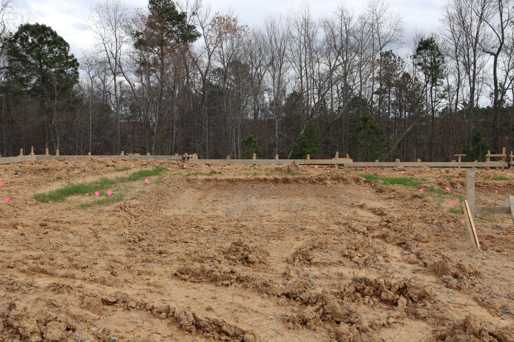 Homesite