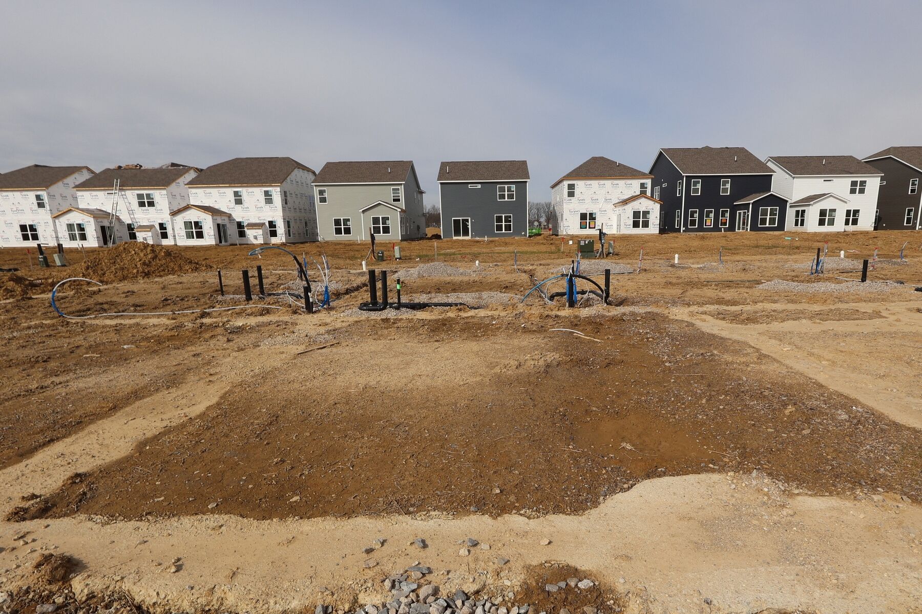 Homesite