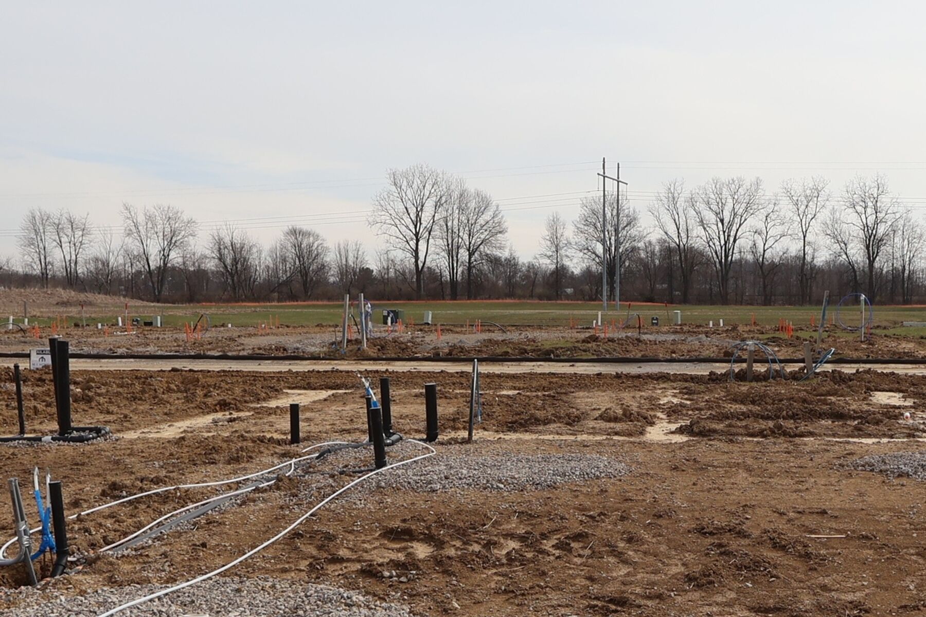 Homesite