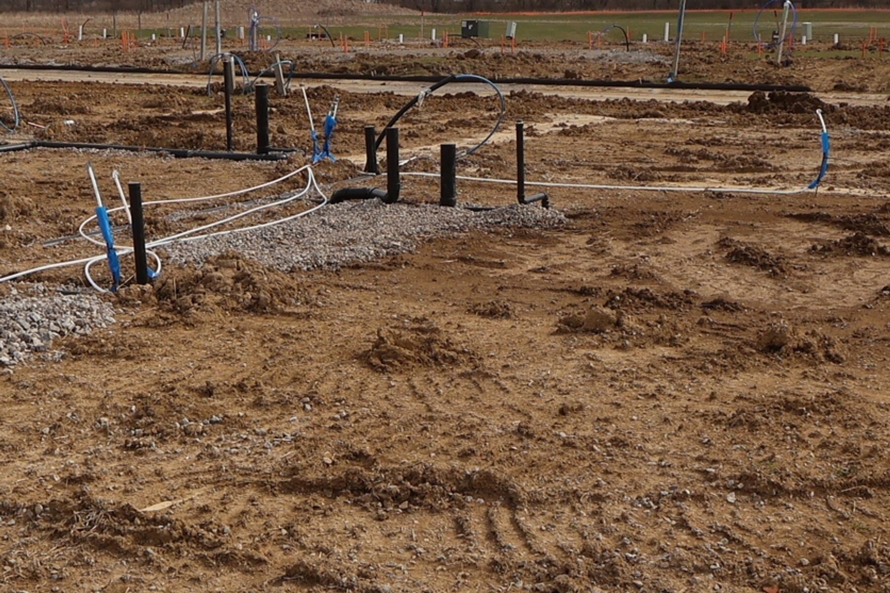 Homesite