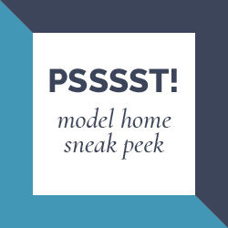 Model Sneak Peek 