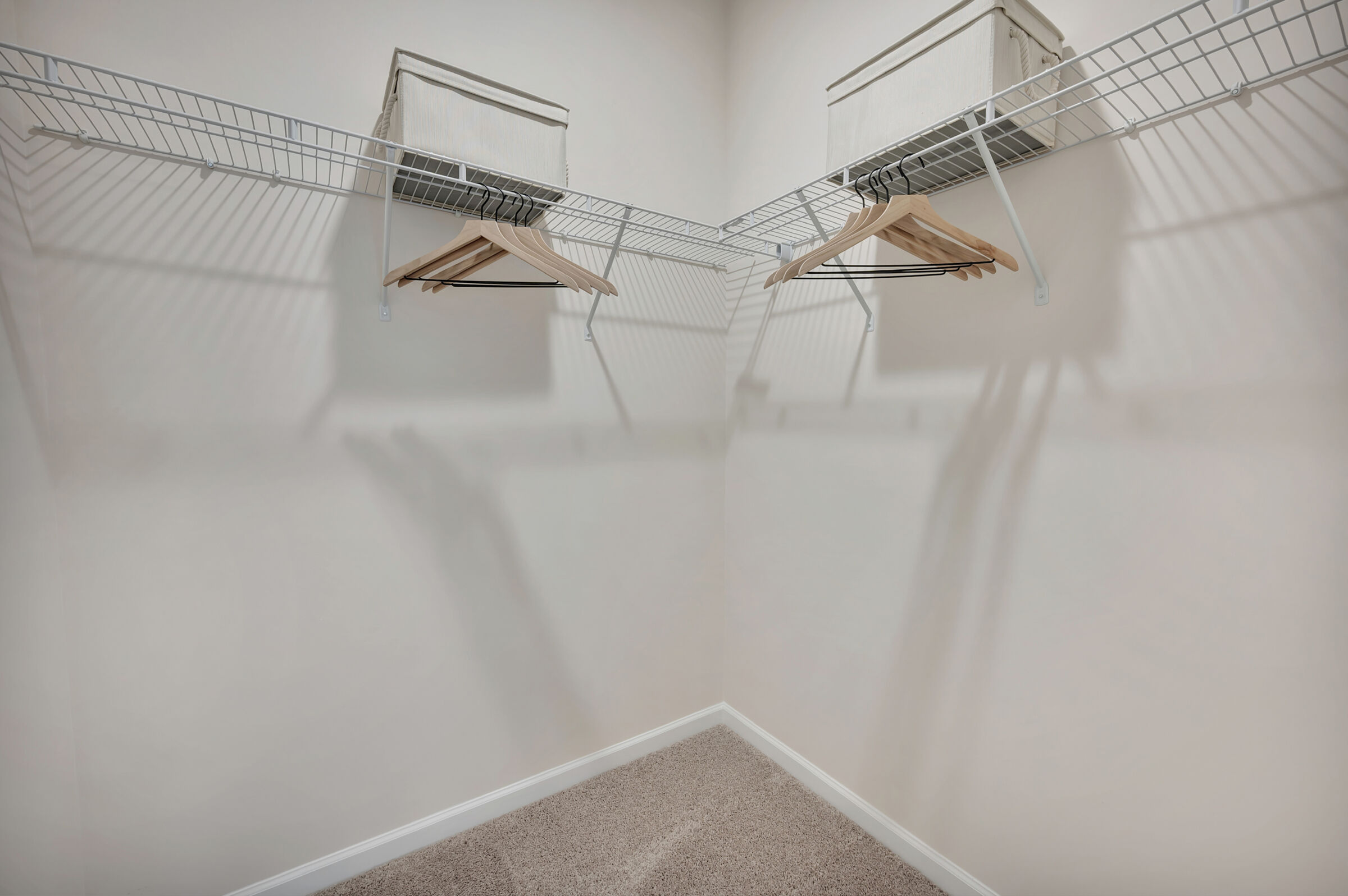 Owner's Closet