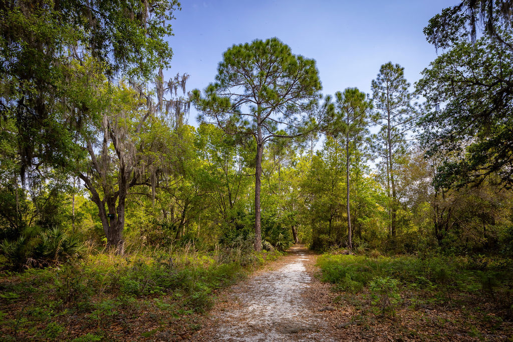 Trails