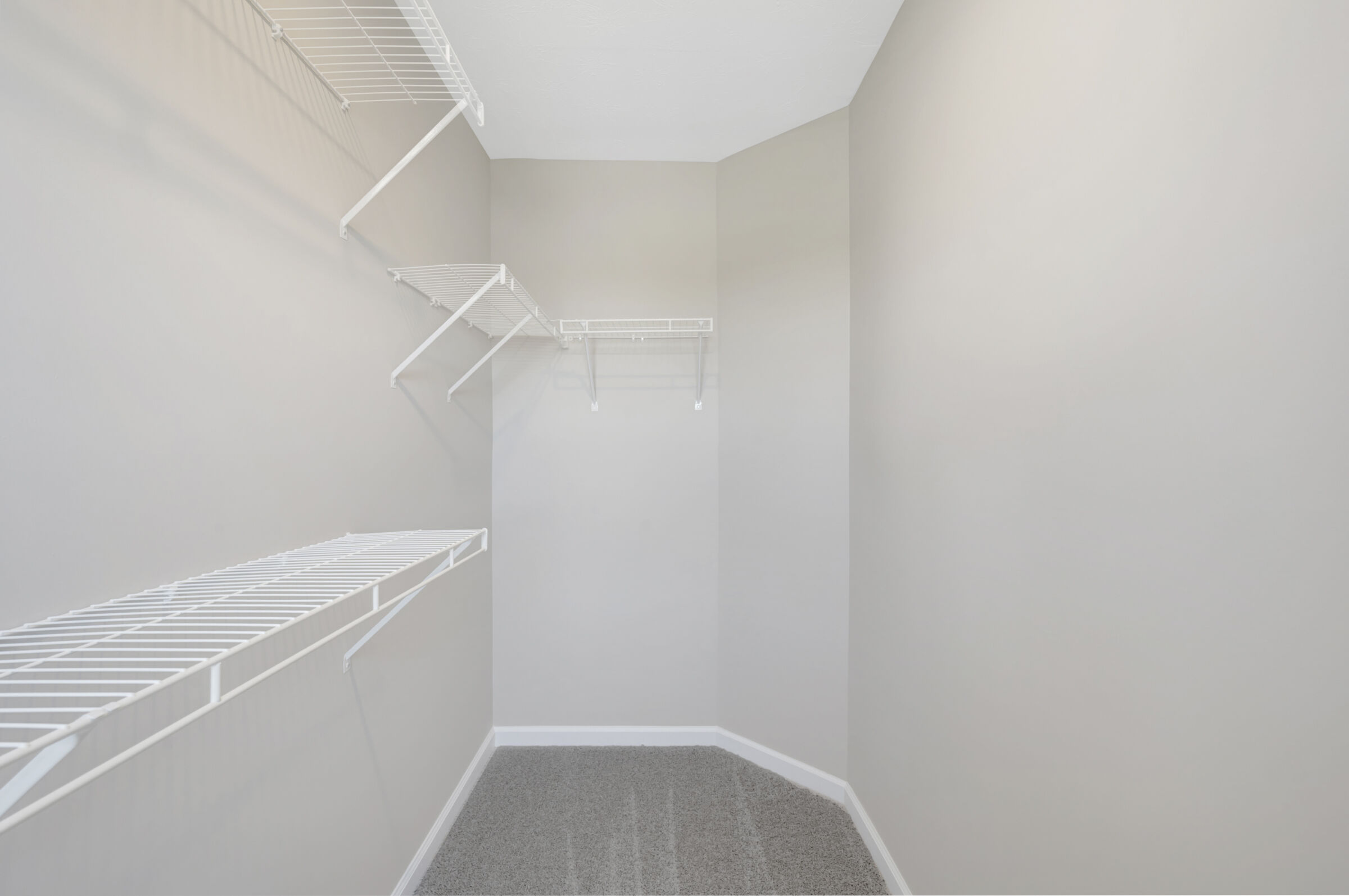 Owner's Closet