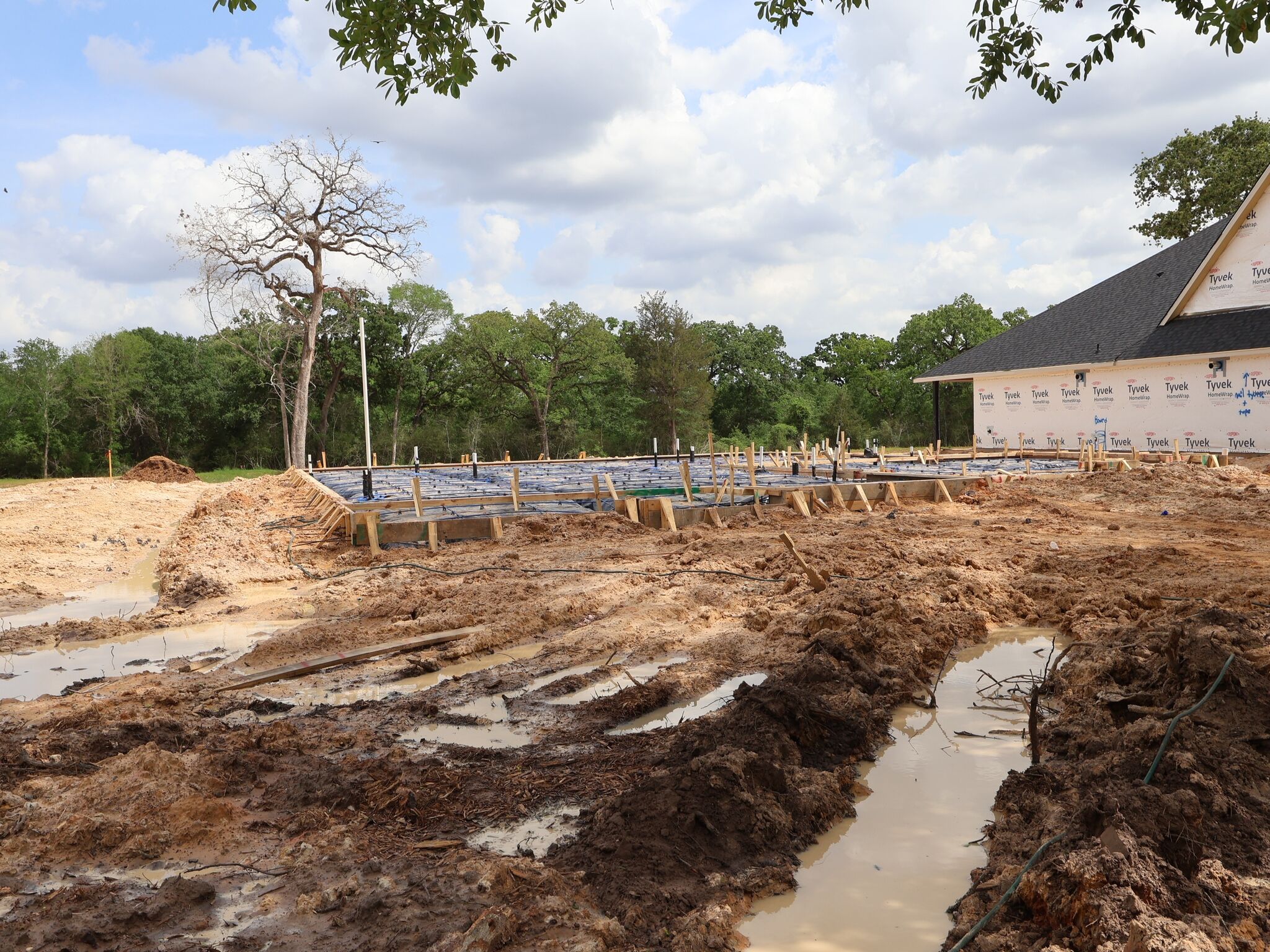 Homesite