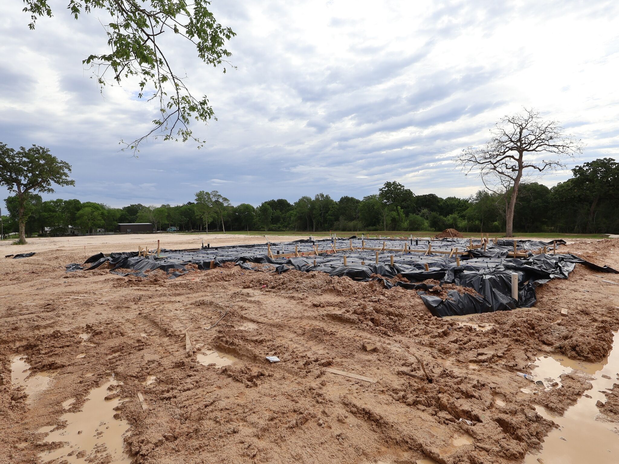Homesite