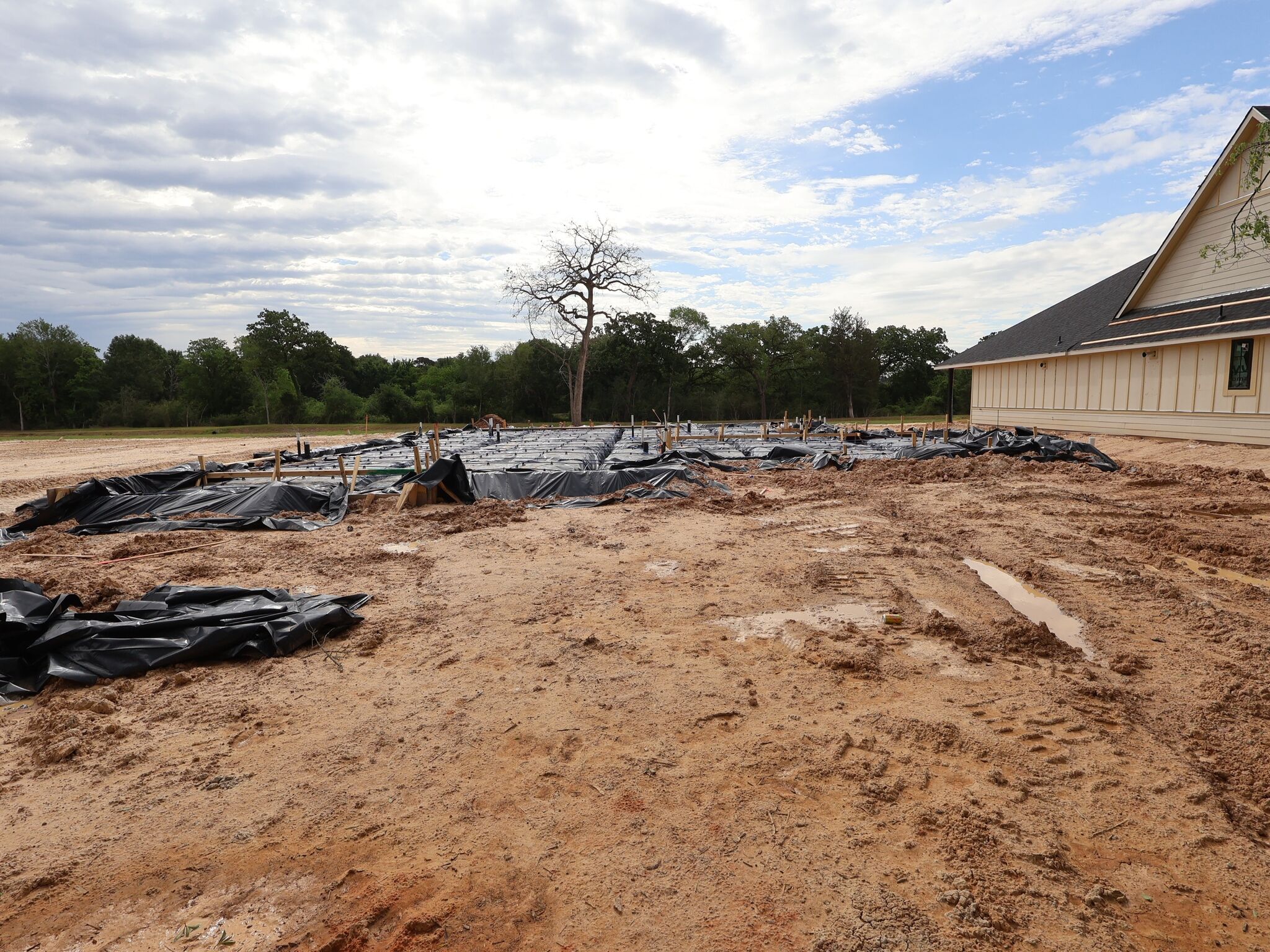 Homesite