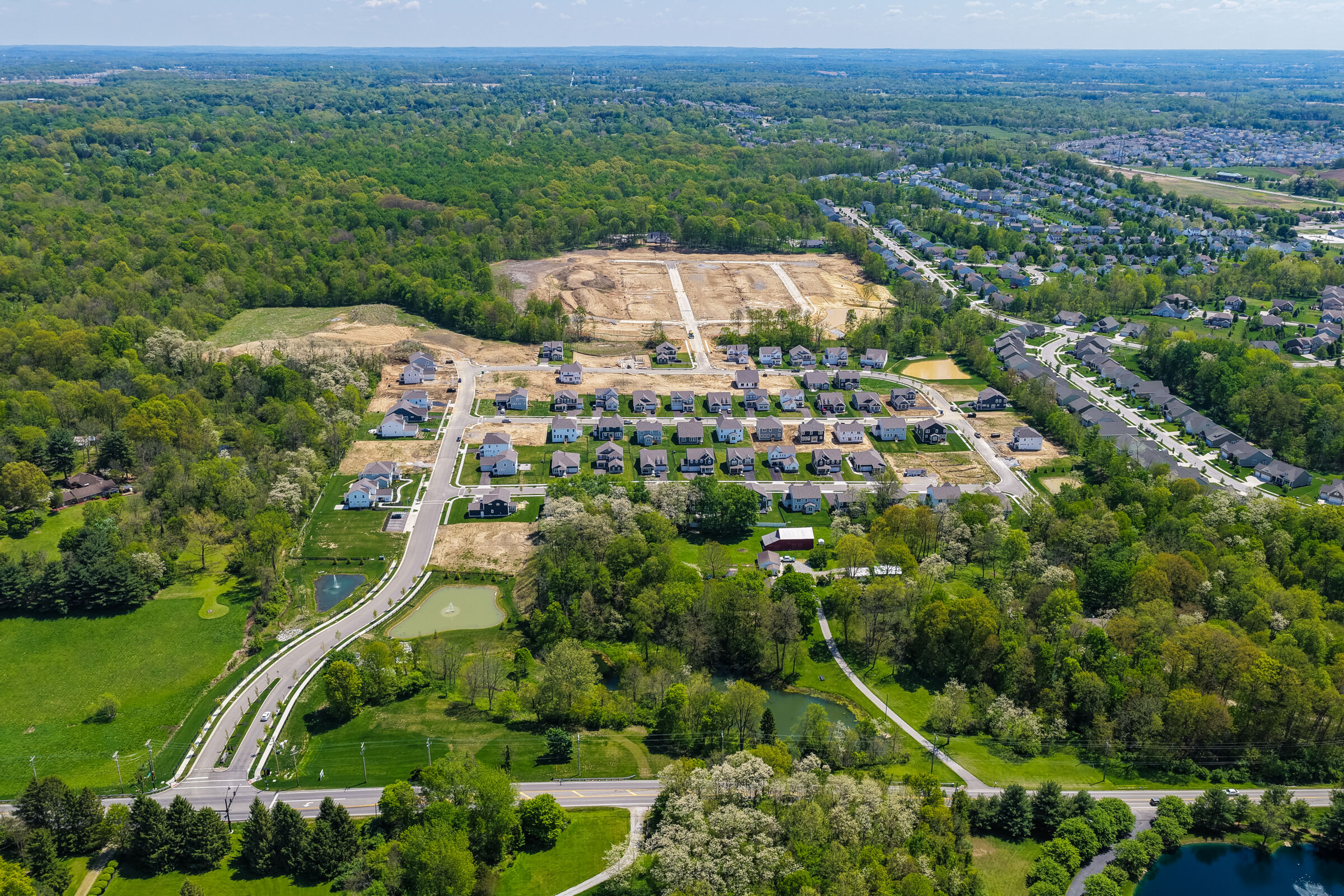 Forest Ridge