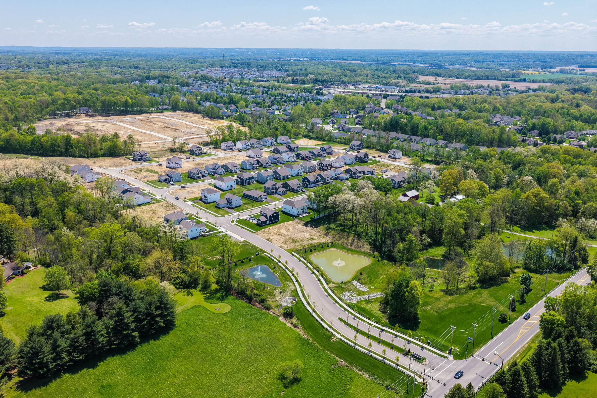 Forest Ridge